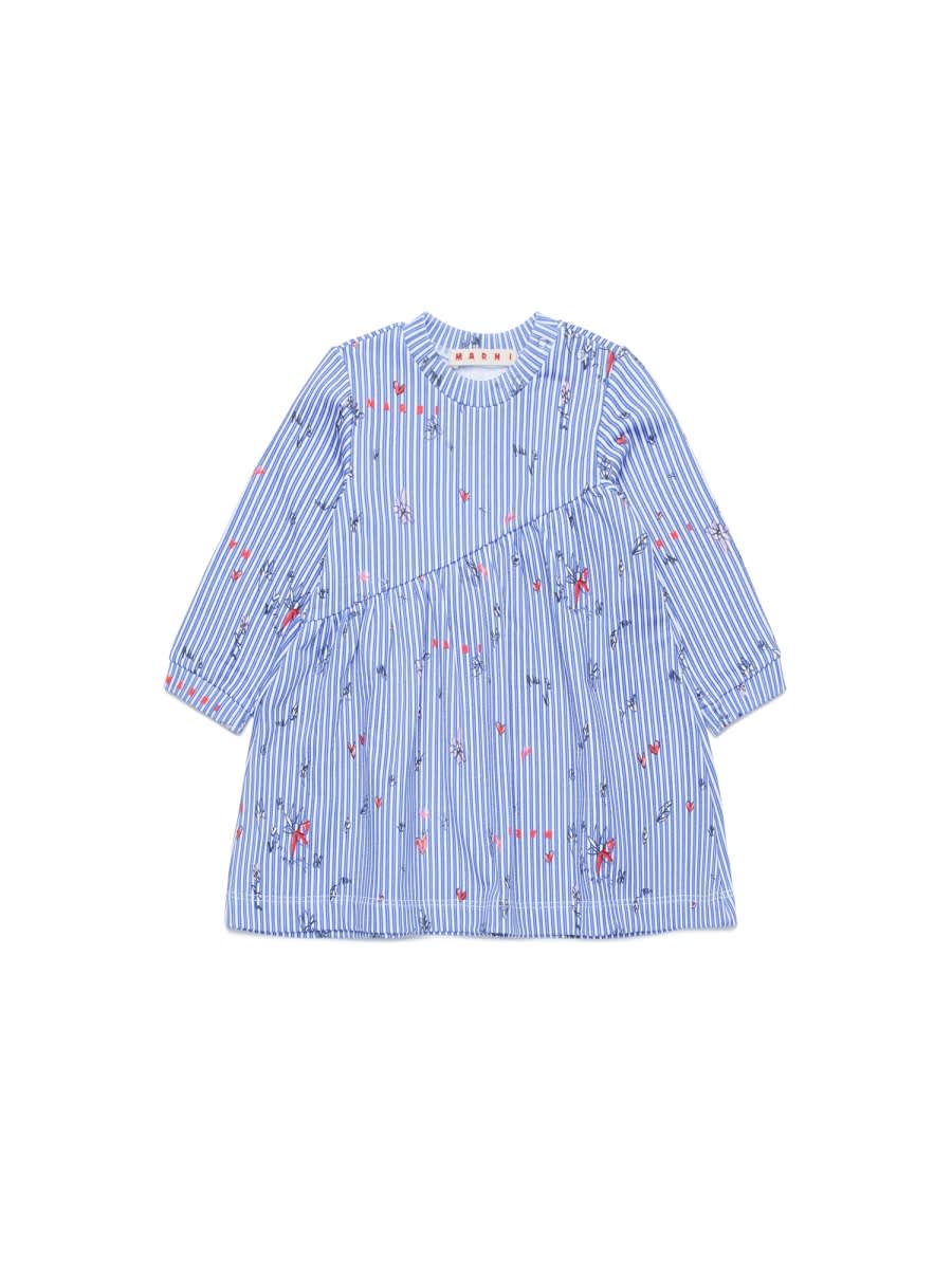 Marni Md45b
