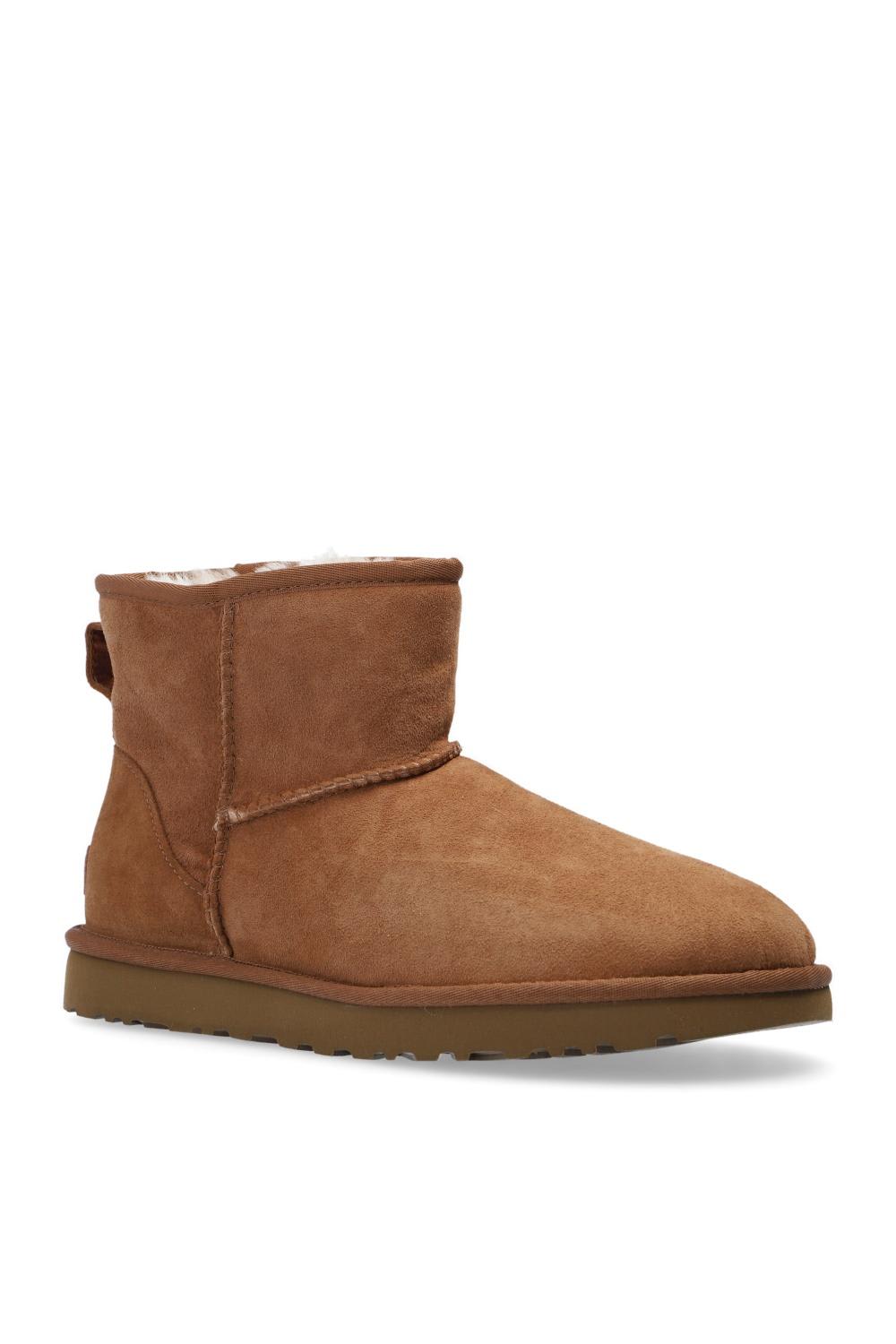 Shop Ugg W Classic Mini Ii Suede Snow Boots In Castagna