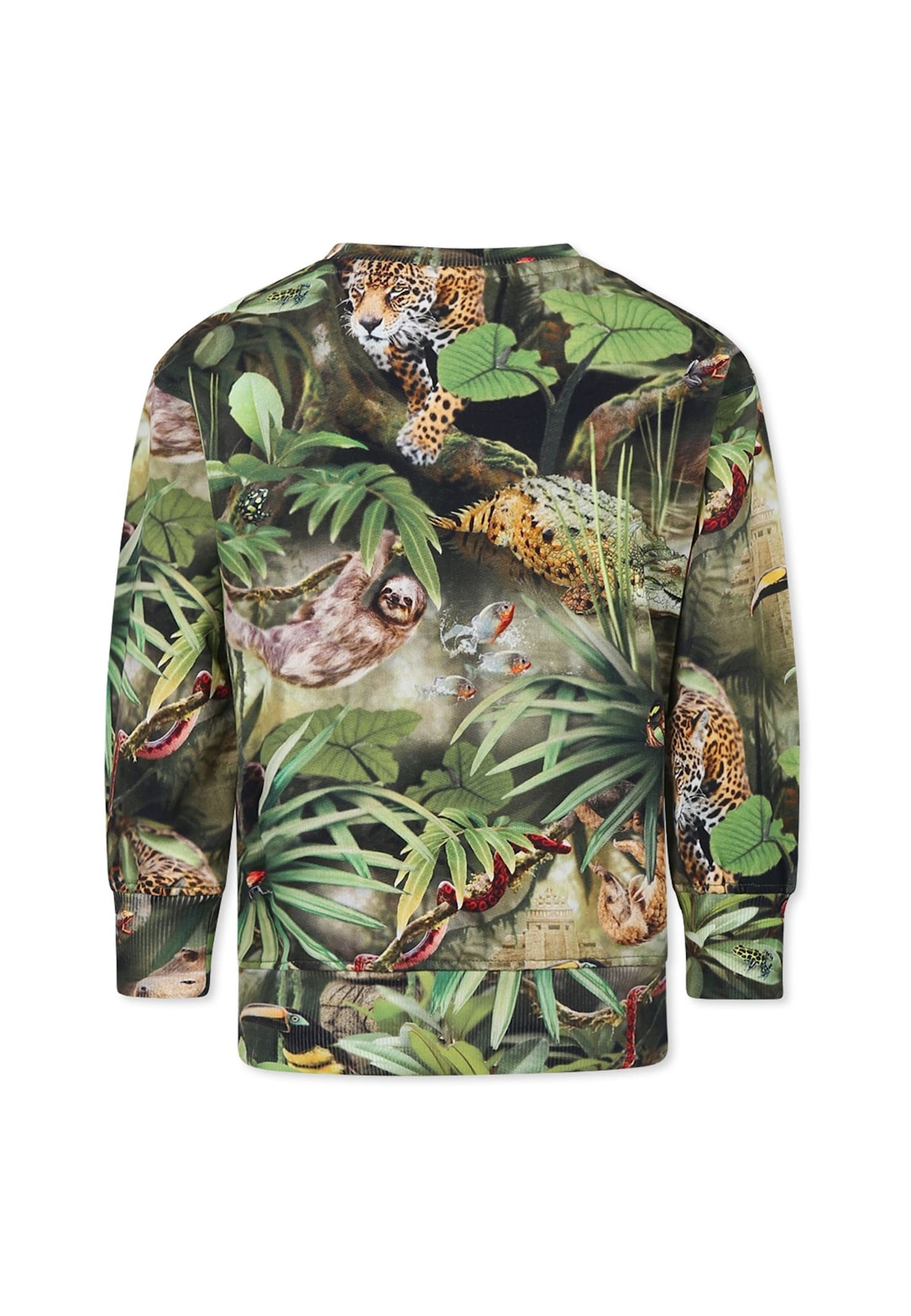 Molo Green Sweatshirt For Boy With Jungle Animal In Green