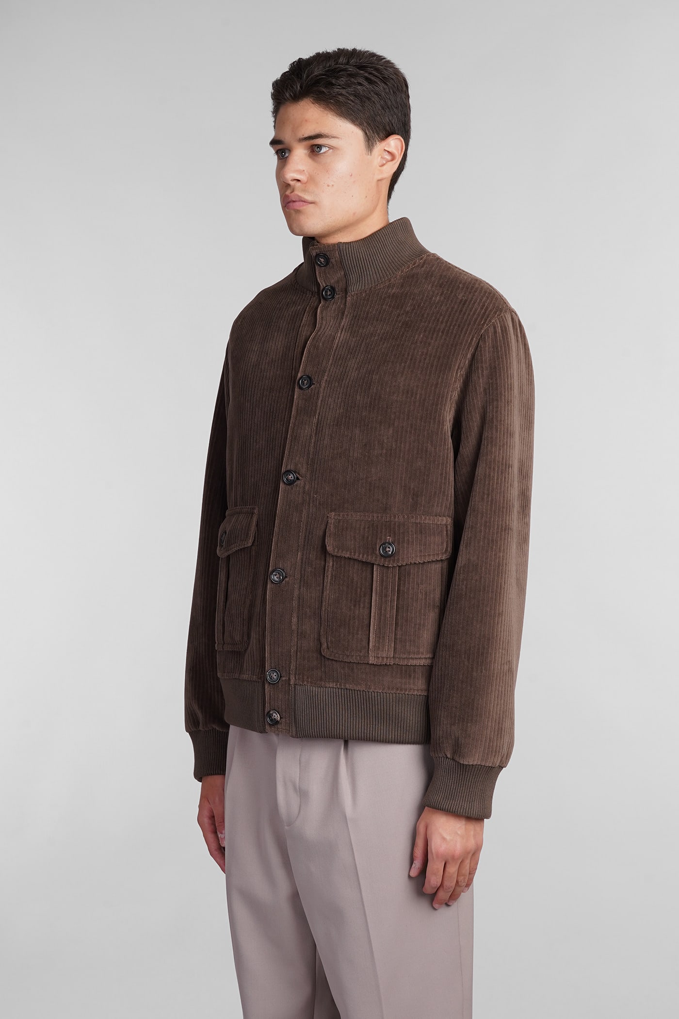 Shop Circolo 1901 Bomber In Brown Cotton