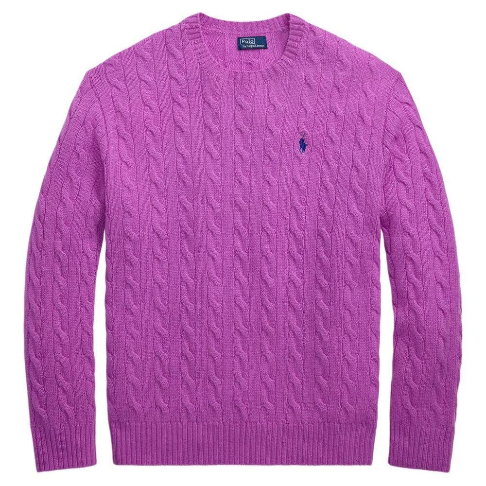 Polo Ralph Lauren Sweater Pullover In Purple