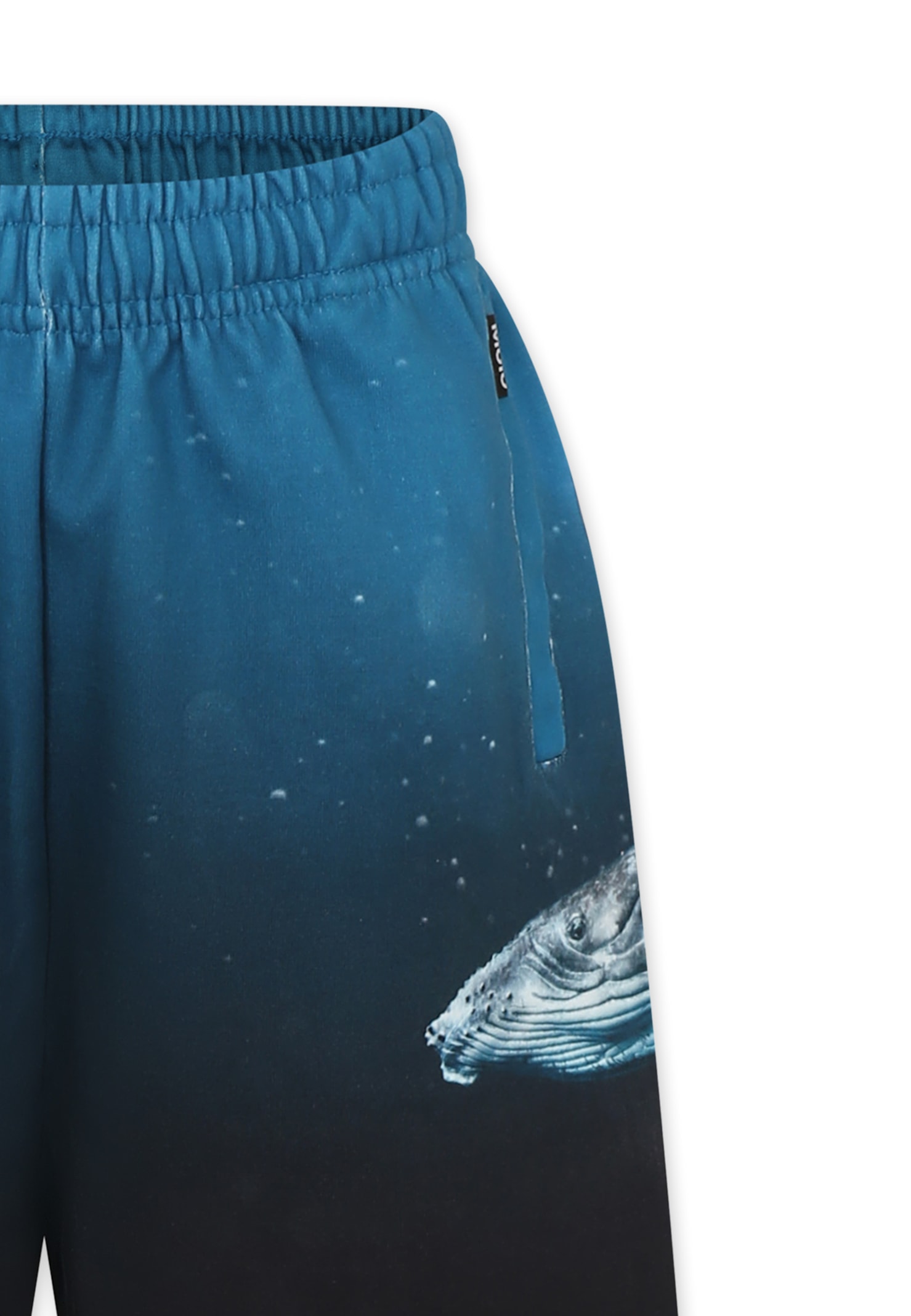 Molo Light Blue Shorts For Boy With Whale In Light Blue