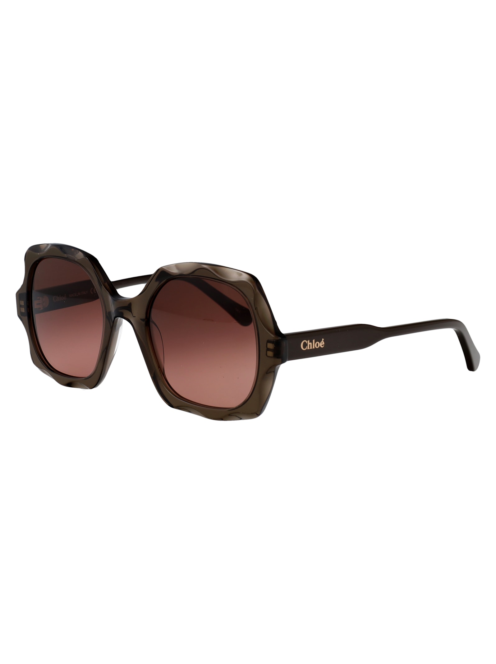 Chloé Ch0226s Sunglasses In Brown