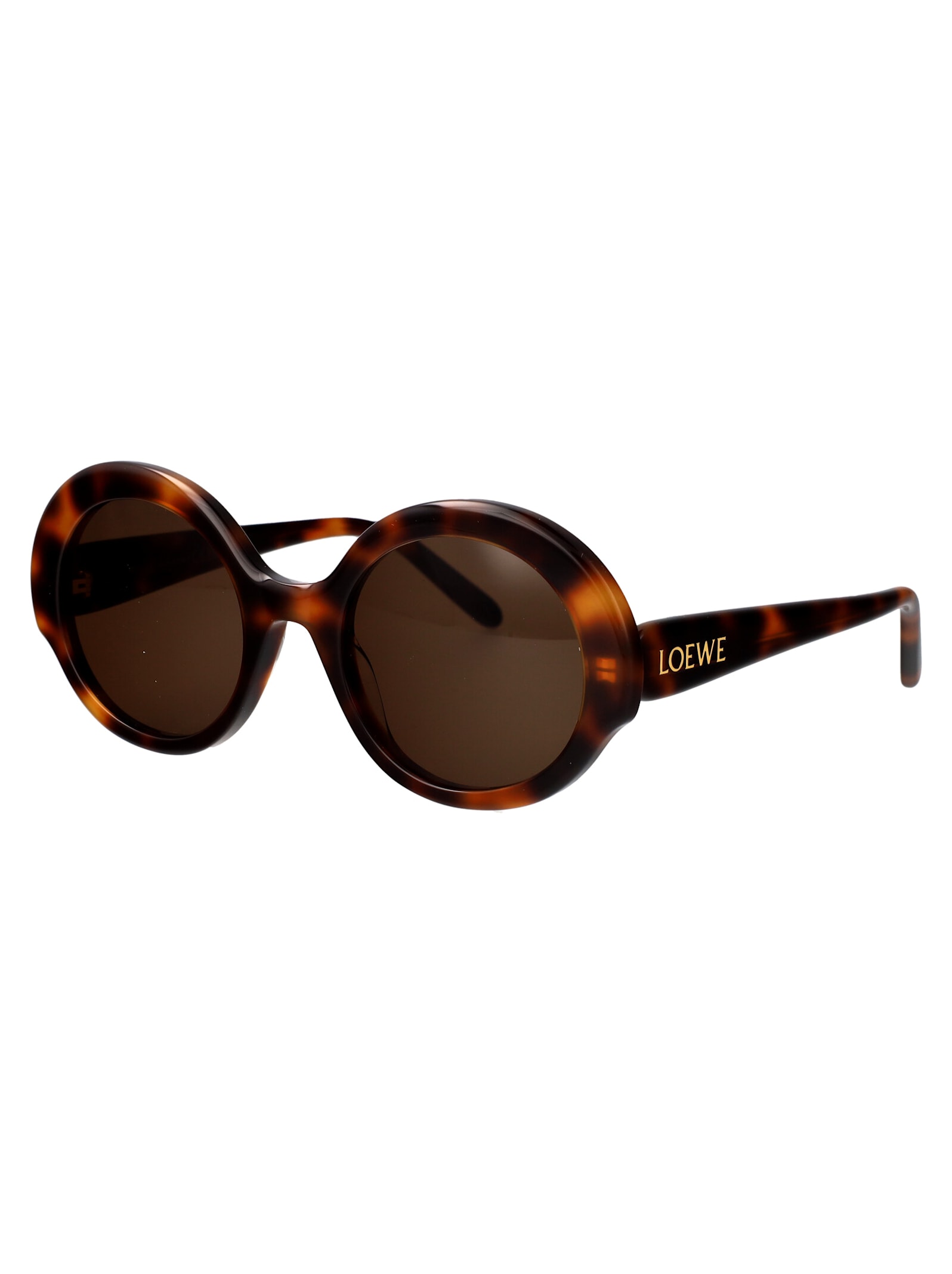 Shop Loewe Lw40135i Sunglasses In Havana