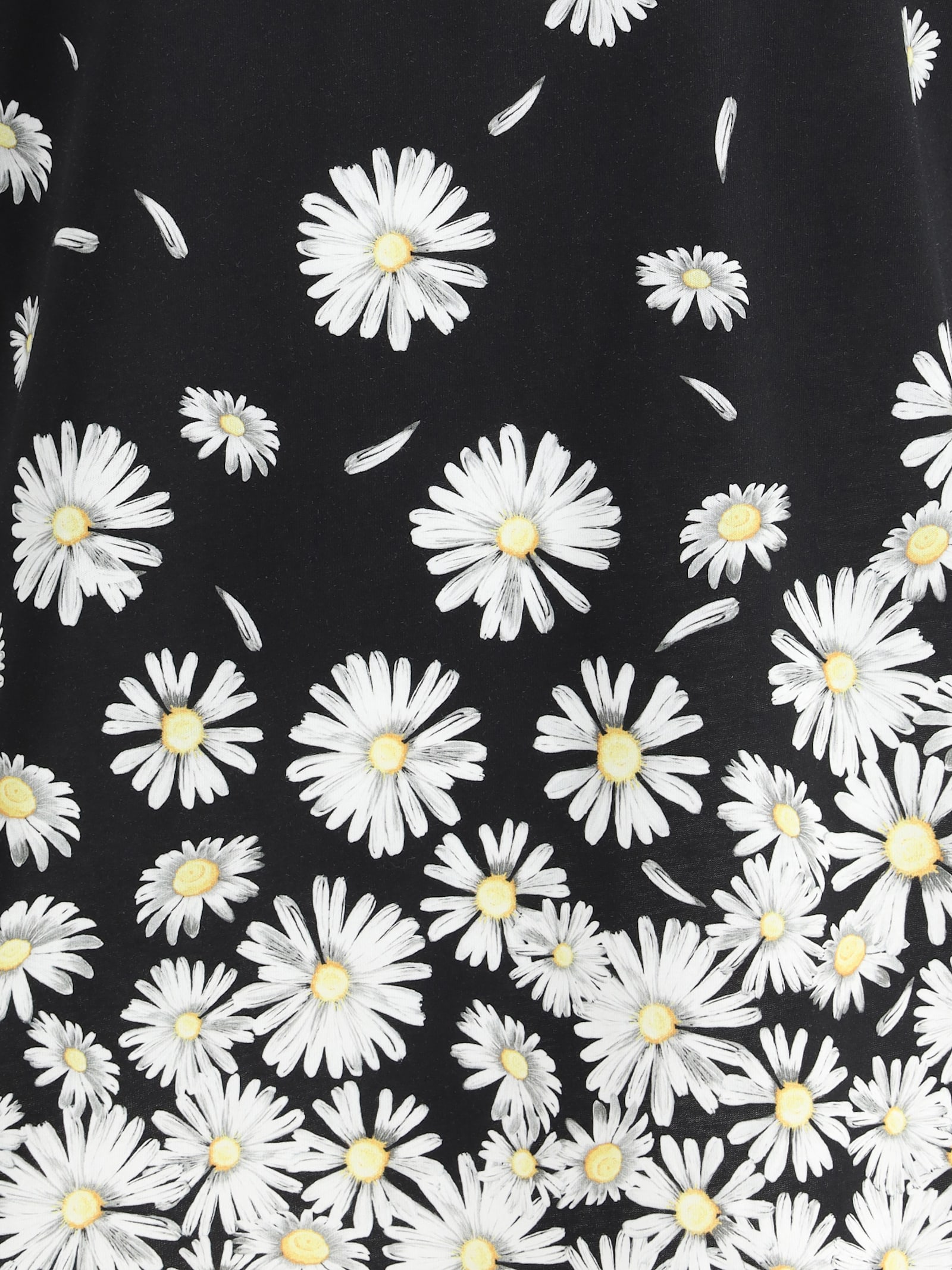 Moschino Daisy-print Crewneck T-shirt In 4555