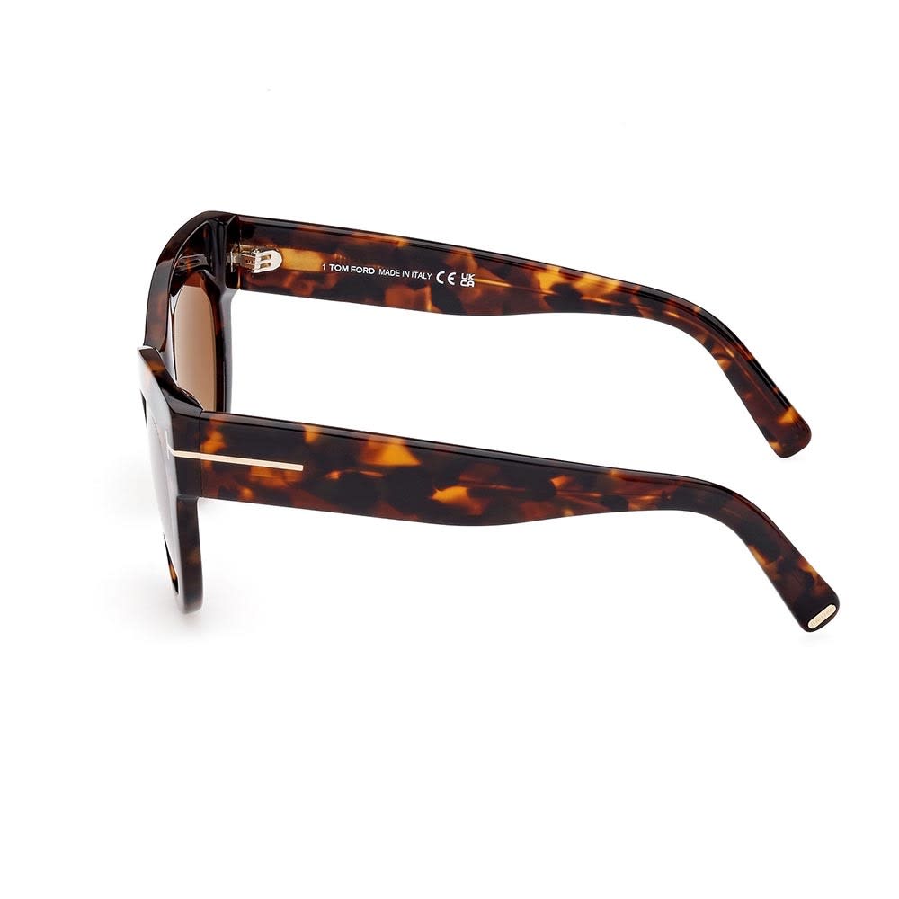 Shop Tom Ford Sunglasses In Havana/marrone