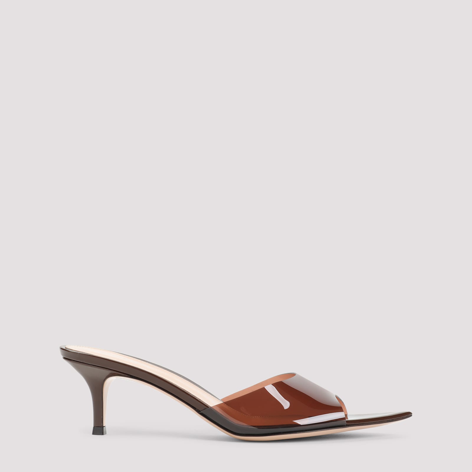 Gianvito Rossi Pointed Toe Mules With Semi-sheer Strap