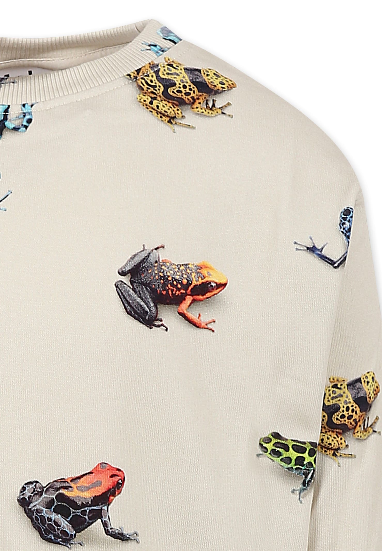 Molo Ivory Sweatshirt For Boy With Frog In Ivory