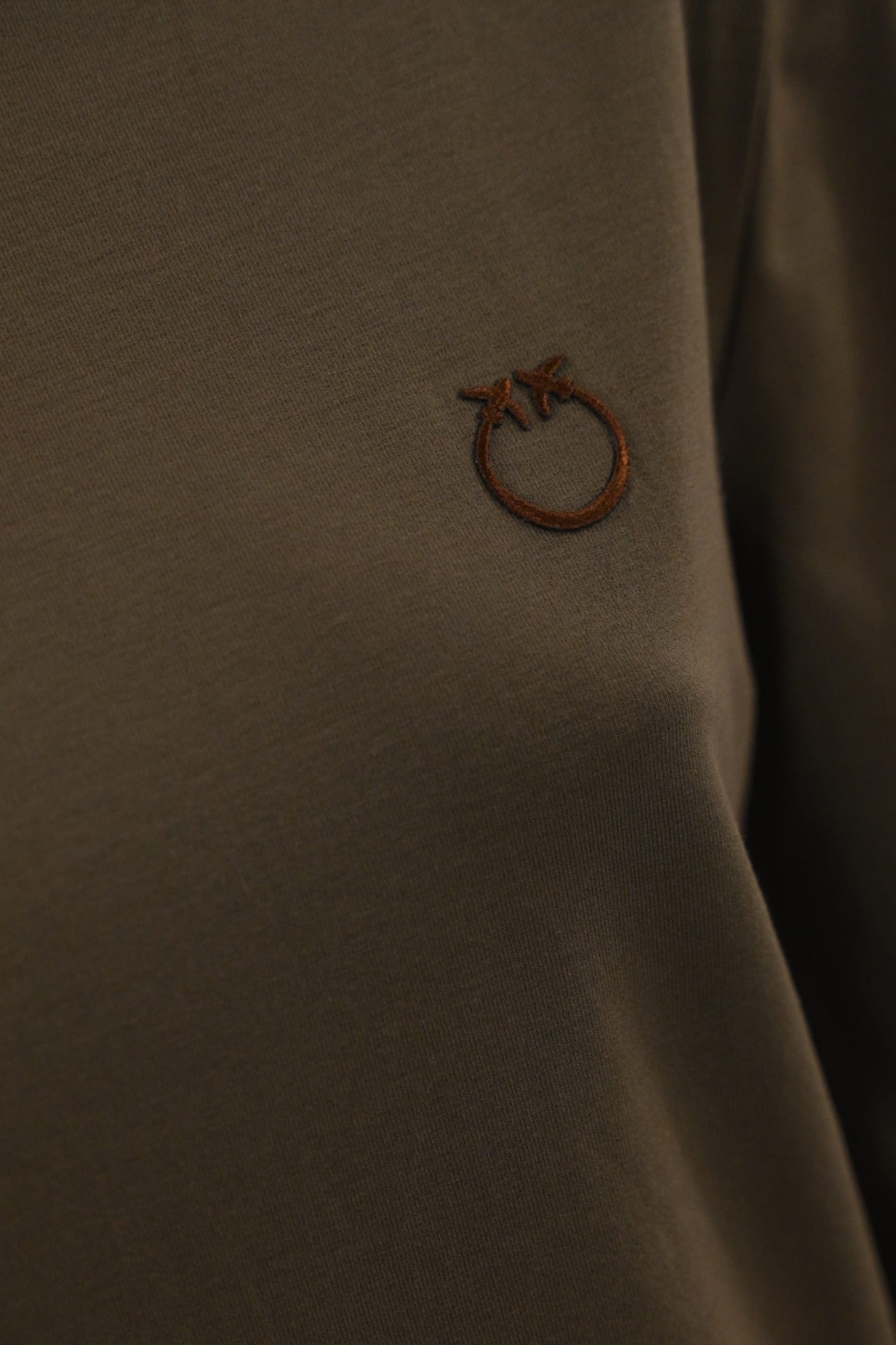 Pinko Macchina Sweater In Viscose With Logo Embroidery In Terra Scuro