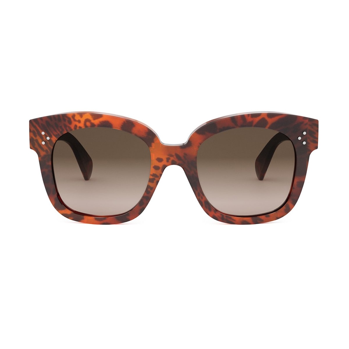 Cl4002un Bold 3 Dots 99f Havana Leopardato Sunglasses