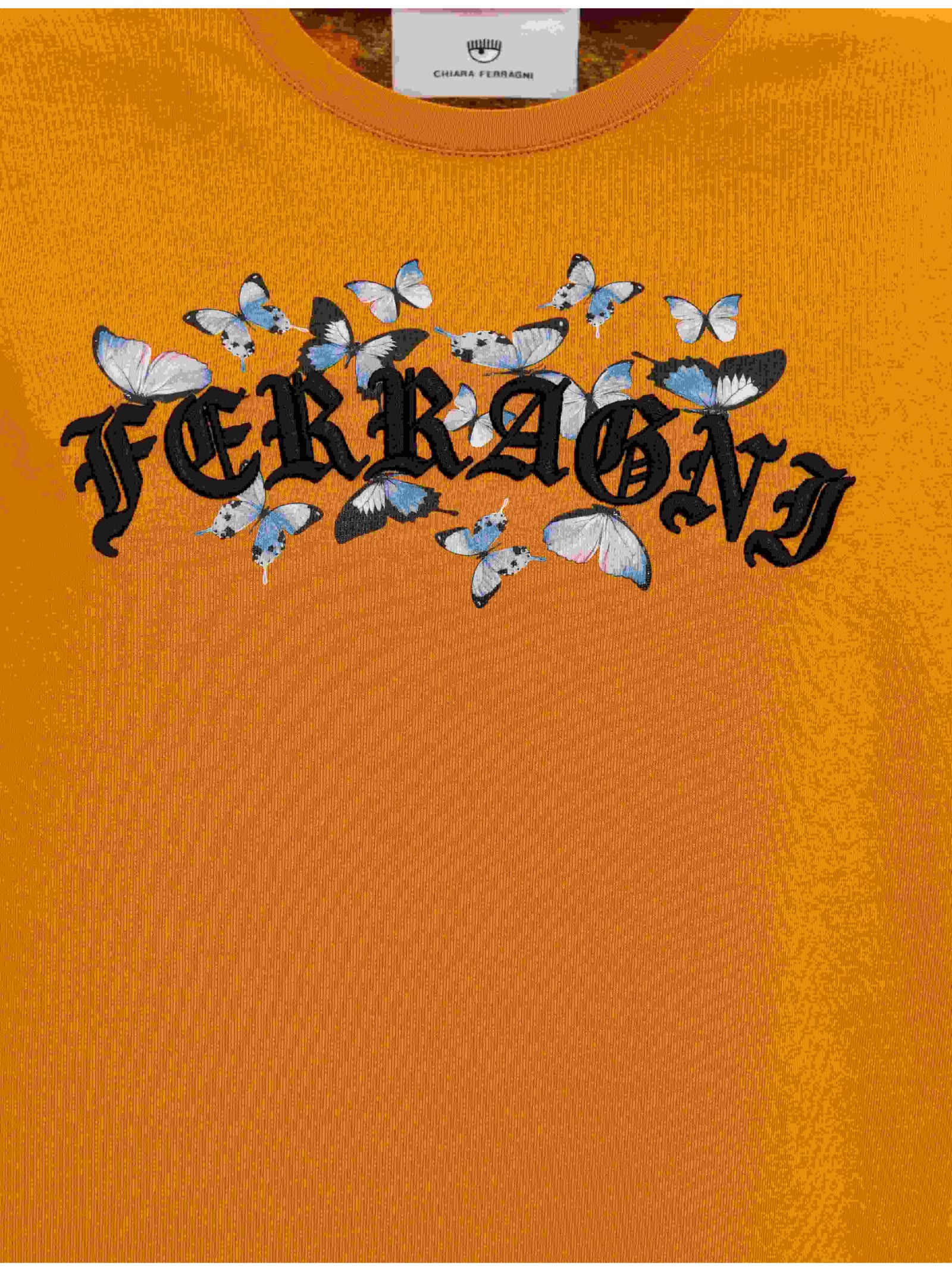Chiara Ferragni T-shirt In Brown