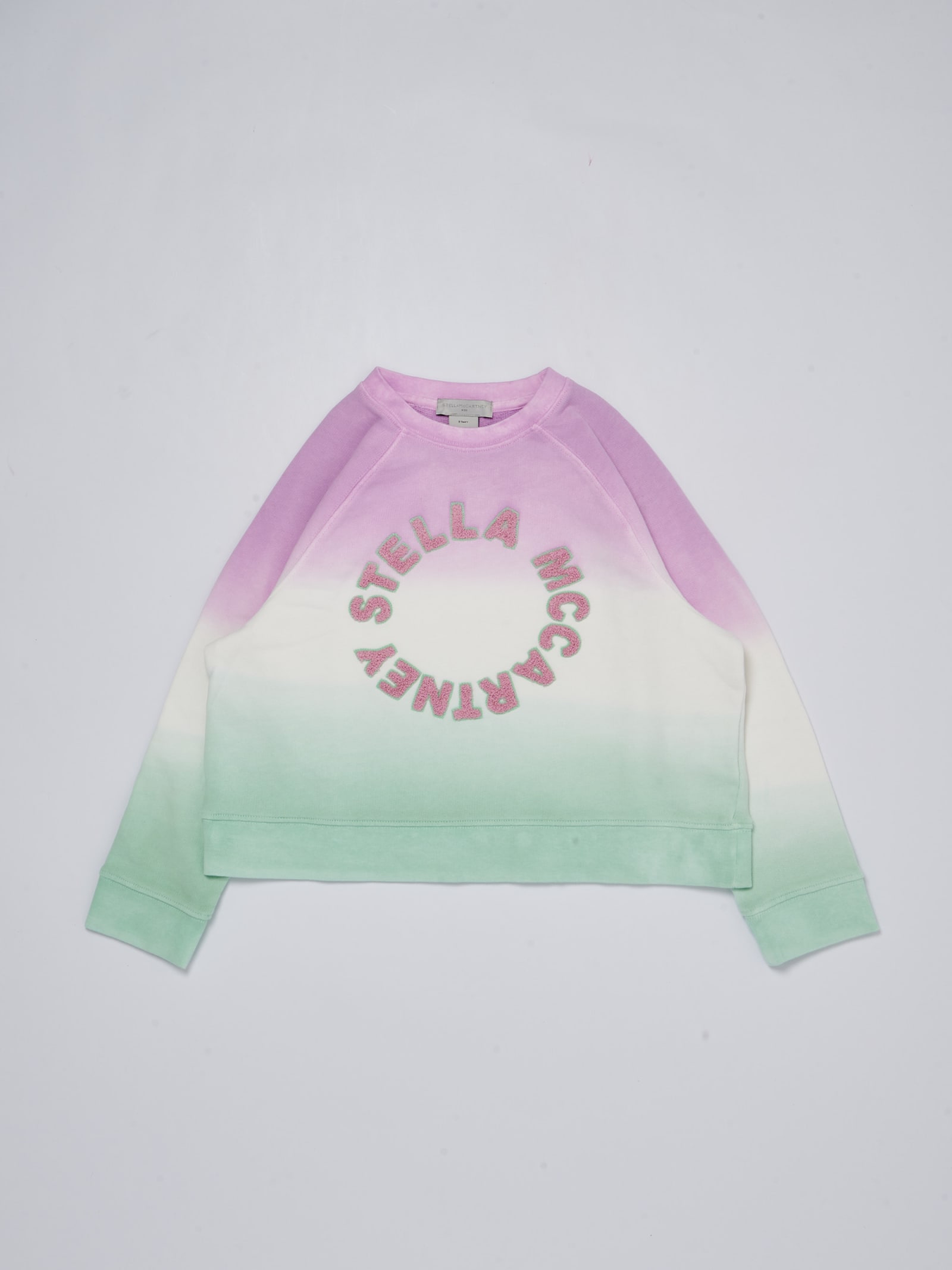 Stella Mccartney Kids' Sweatshirt Sweatshirt In Verde-glicine