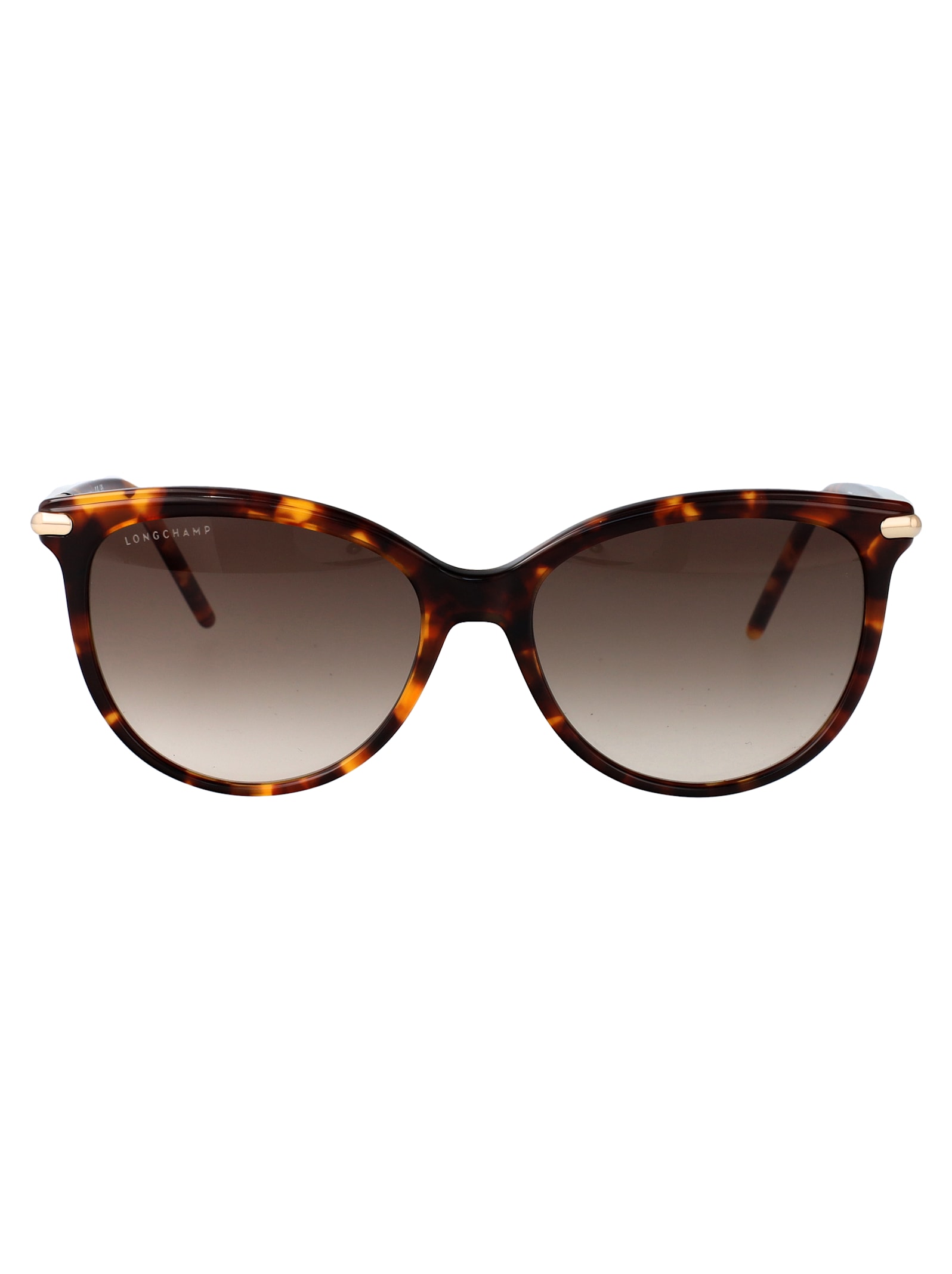 Longchamp Lo727s Sunglasses In Brown