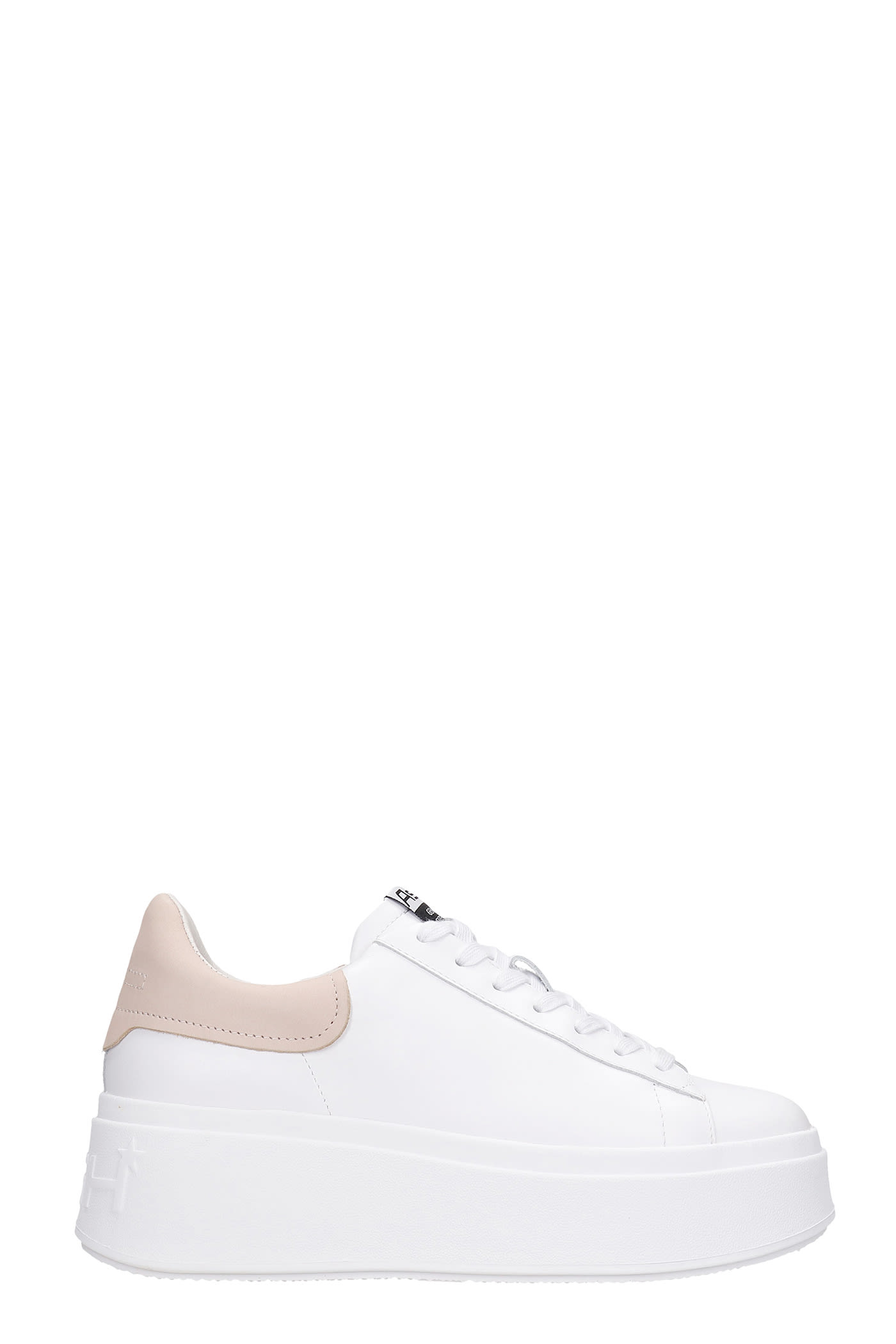 Ash Moby 03 Sneakers In White Leather