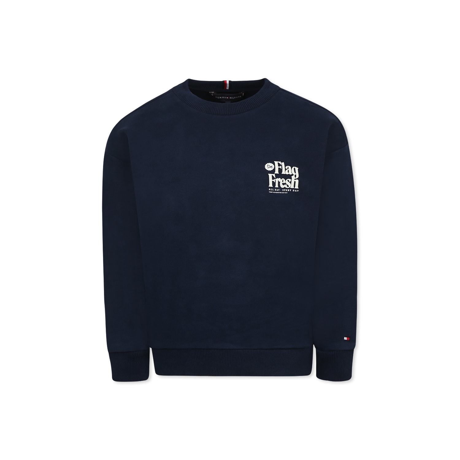 Tommy Hilfiger Blue Sweatshirt For Boy With Writing In Blue