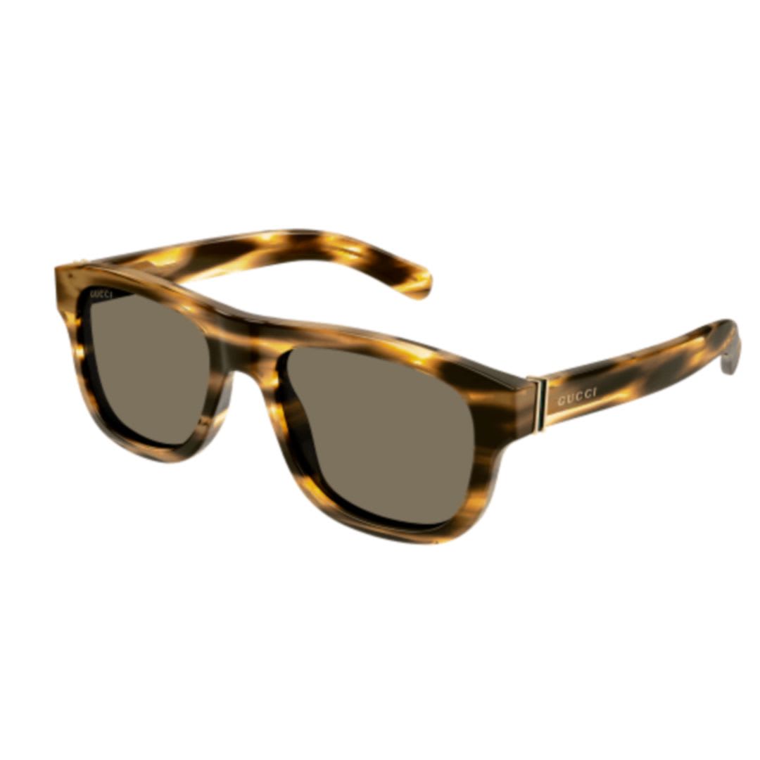 Shop Gucci Gg1509s002 Havana Havana Brown