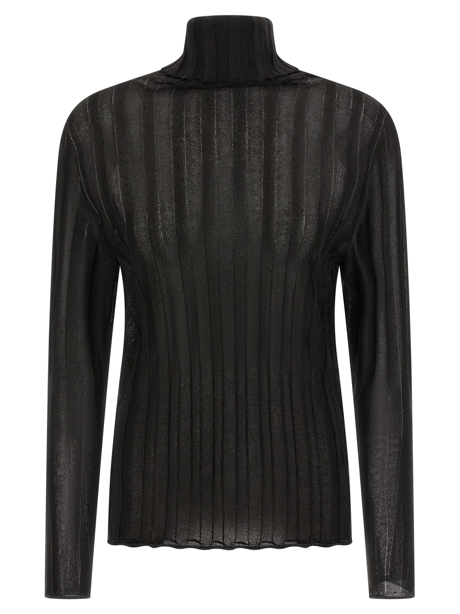Fabiana Filippi Turtleneck Sweater With Ribbed Sheer Fabric In Black