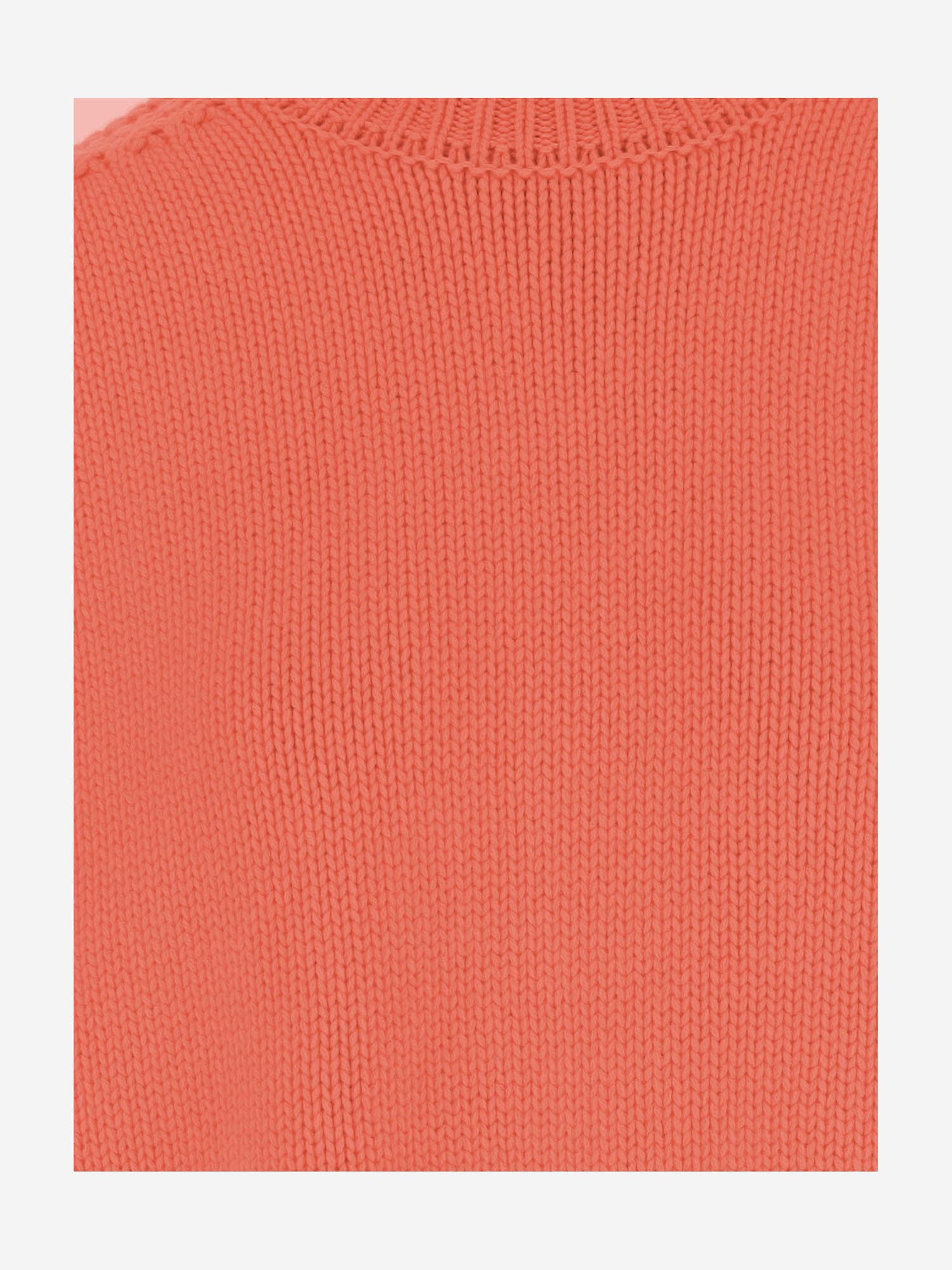 Sa Su Phi Cashmere Sweater With Crew Neck In Orange