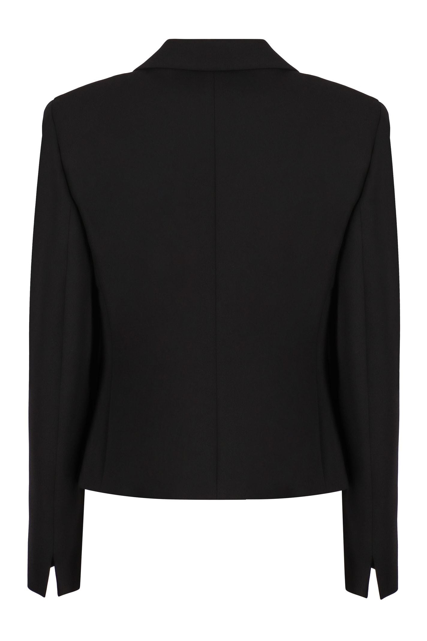 Shop Max Mara Alpino Single-breasted Two-button Jacket In Black