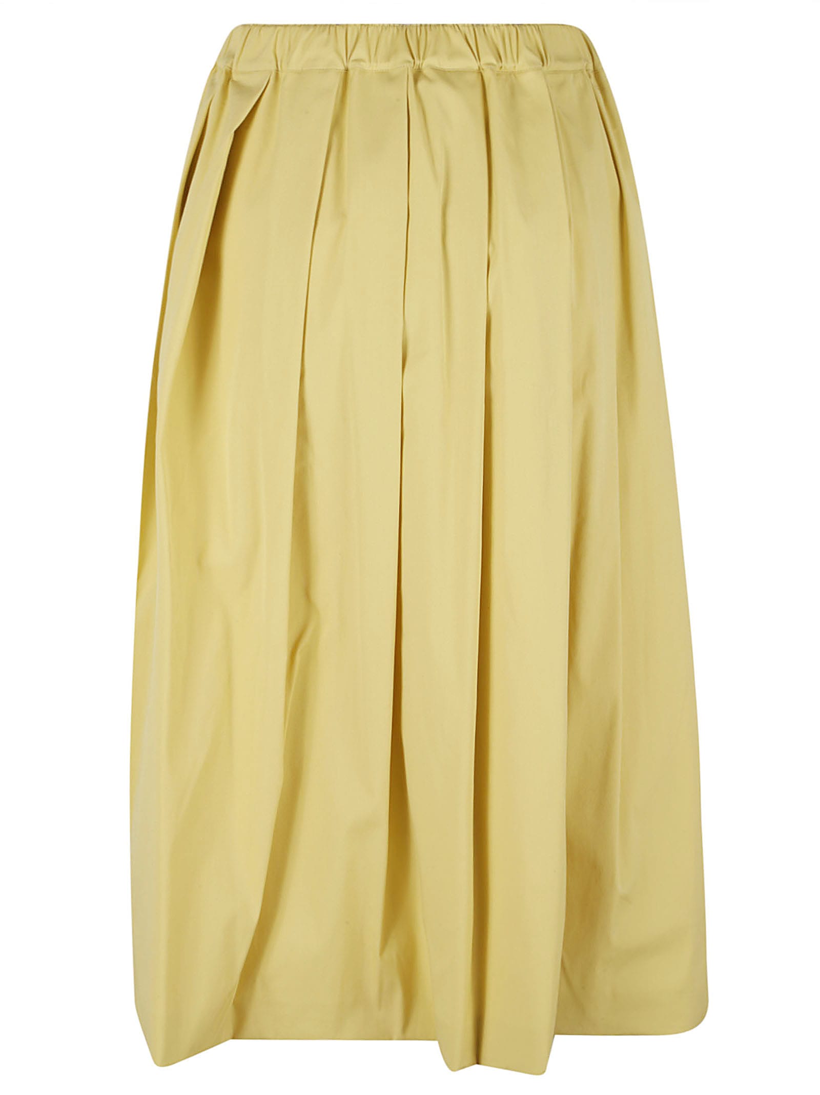 Shop Fabiana Filippi Elastic Waist Pleated Flare Skirt In Pistachio