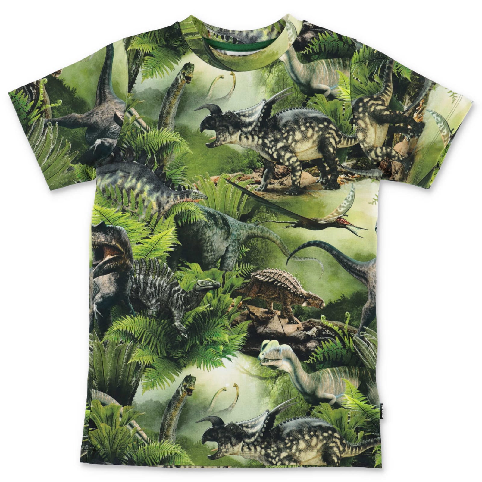 Molo T-shirt Verde Stampata In Cotone Organico