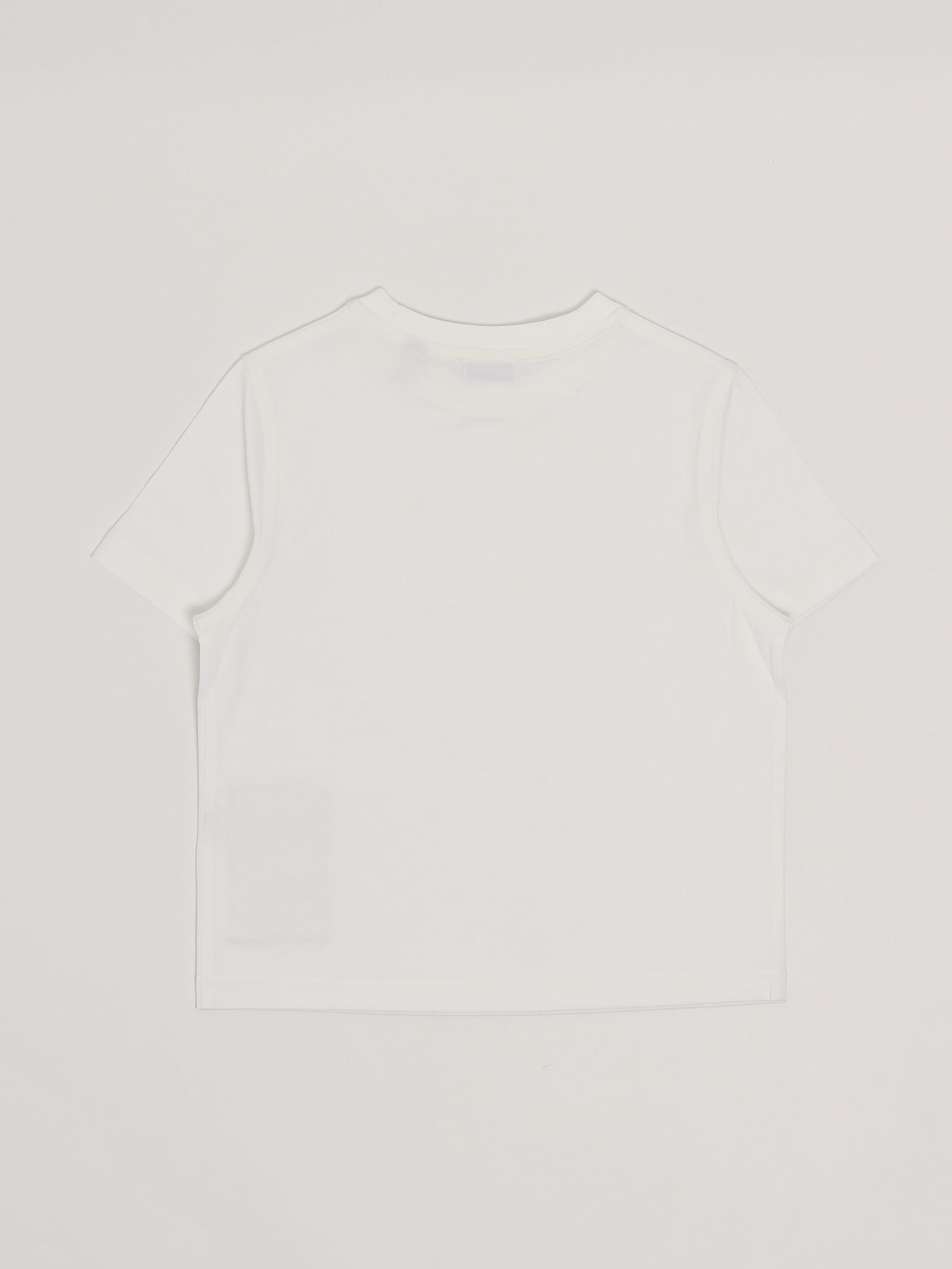 Burberry Cedar T-shirt T-shirt In Bianco