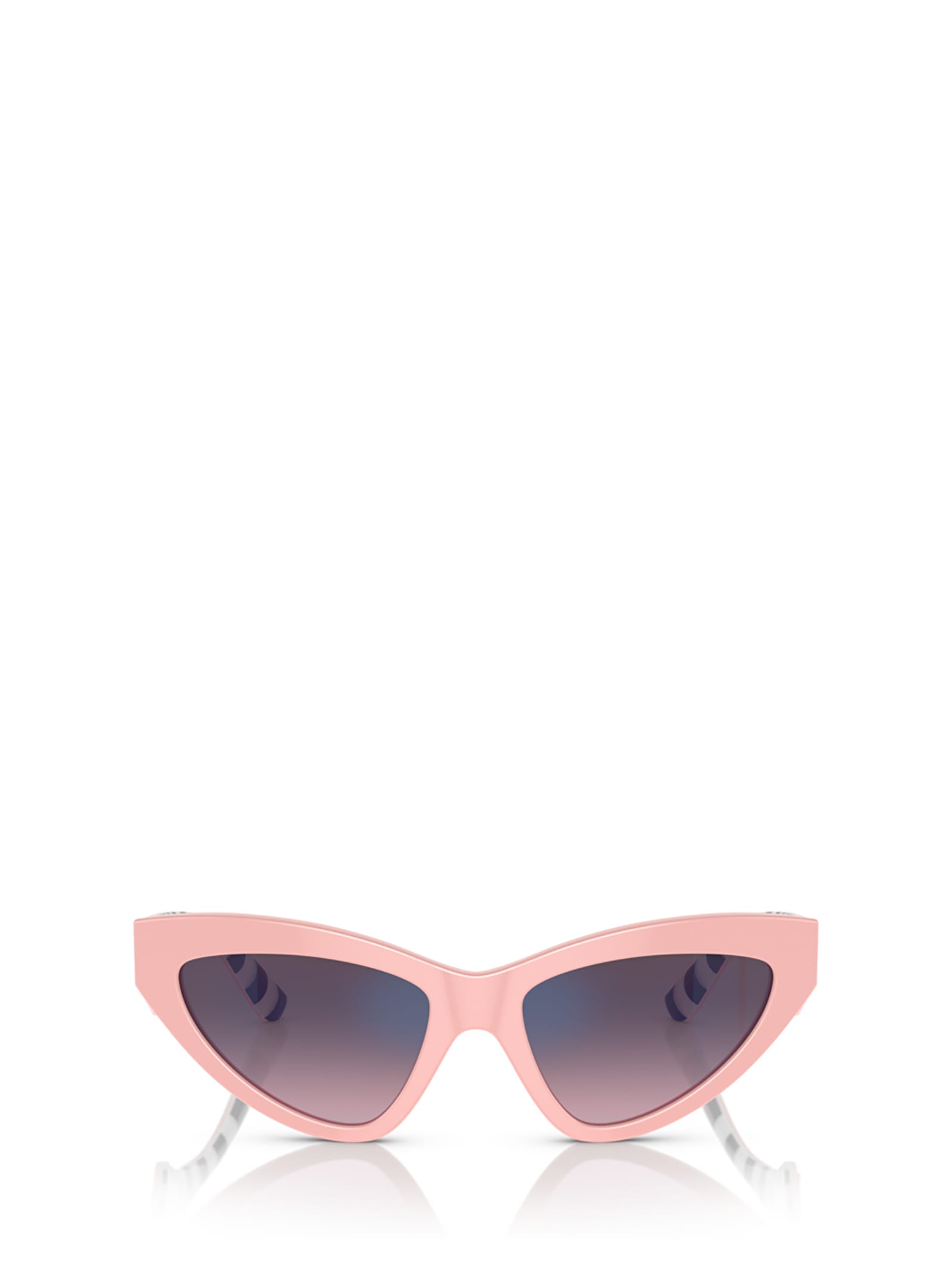 Dg4439 Pink Sunglasses