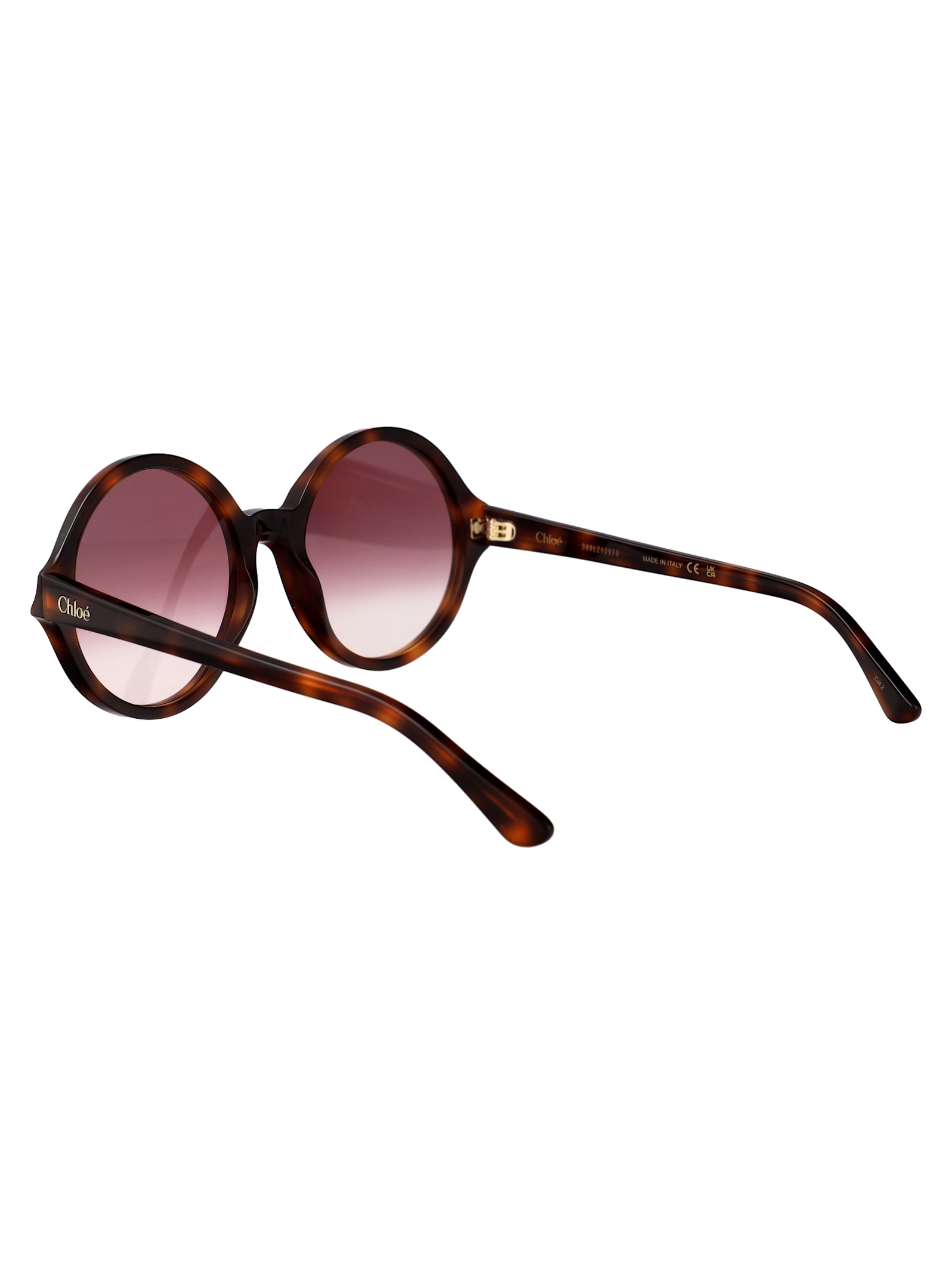 Chloé Ch0290s Sunglasses In Multi