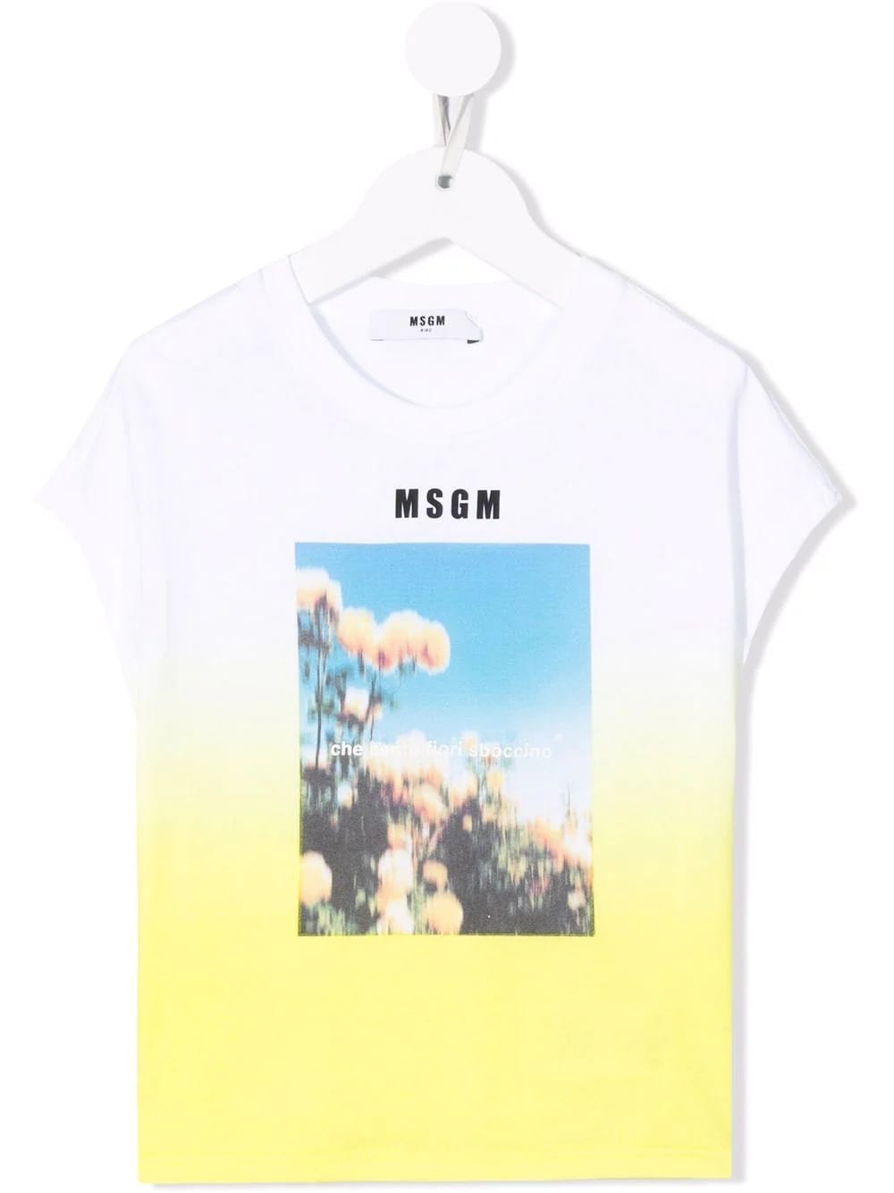 MSGM Kids Shaded T-shirt With Logo And Print