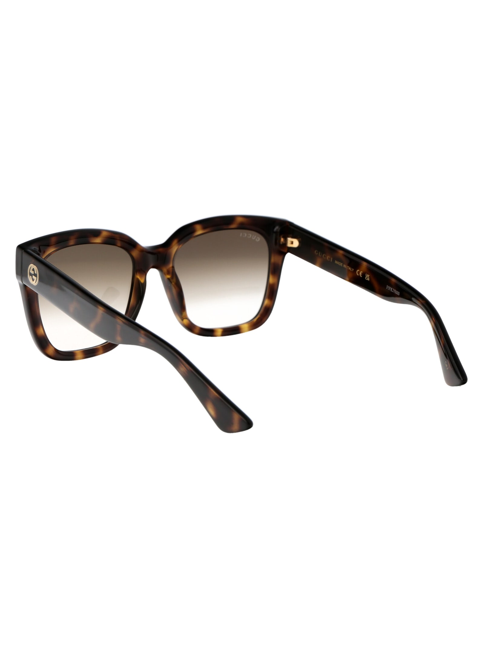 Gucci Havana Havana Brown Acetate Sunglasses In Brown