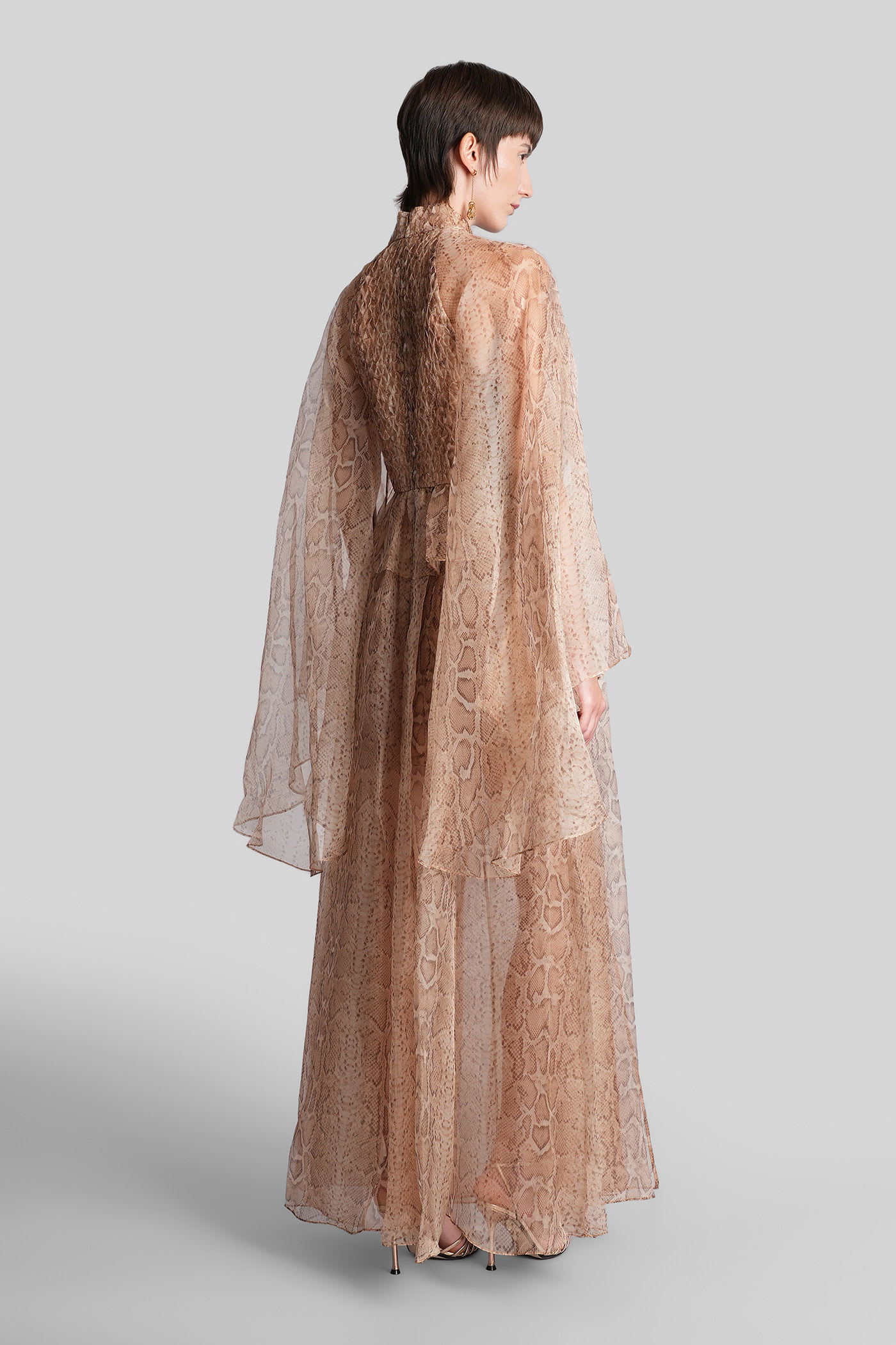 Zimmermann Long Dress In Beige Silk In Brown