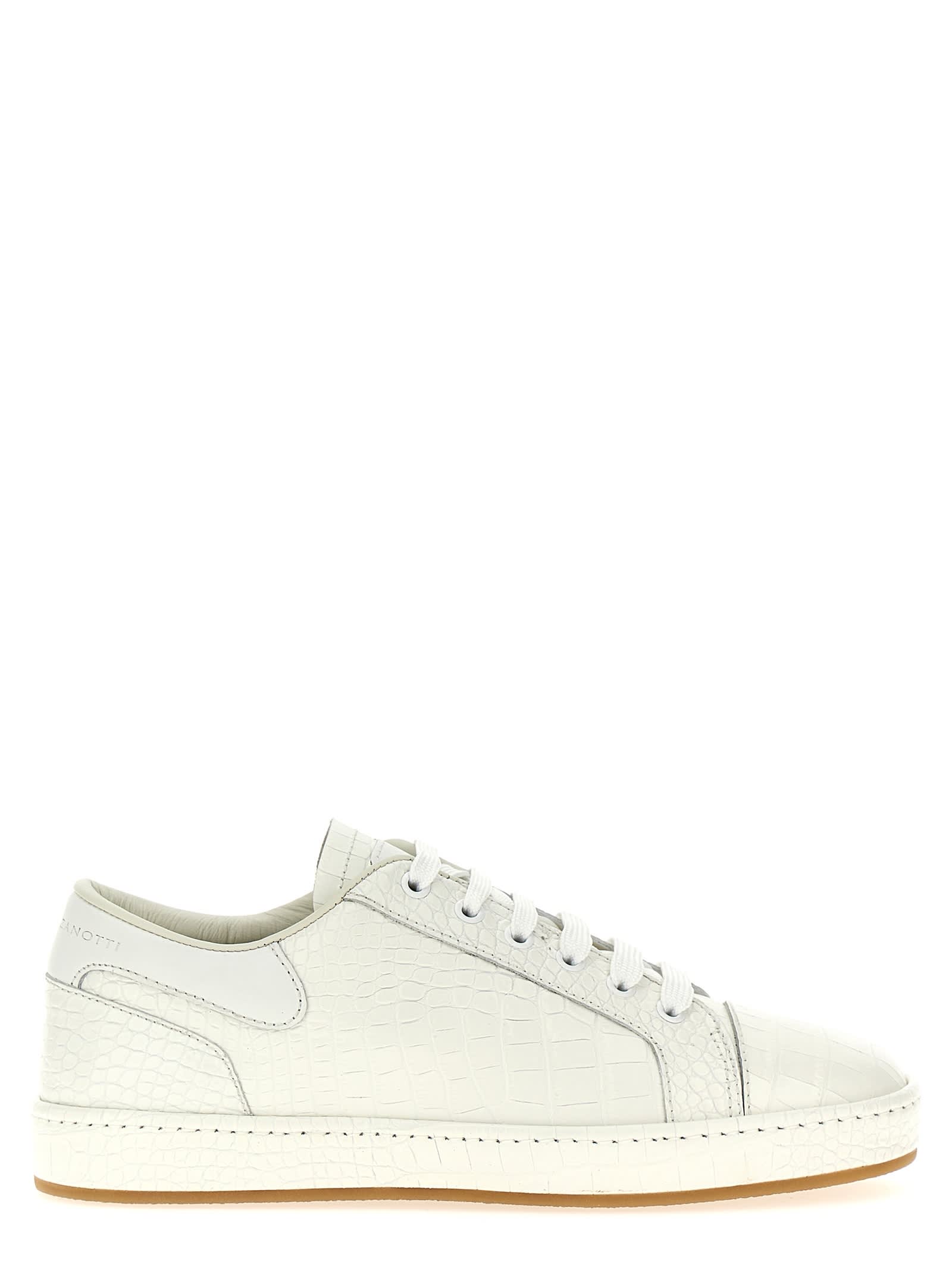 Shop Giuseppe Zanotti Gz/city Sneakers In White