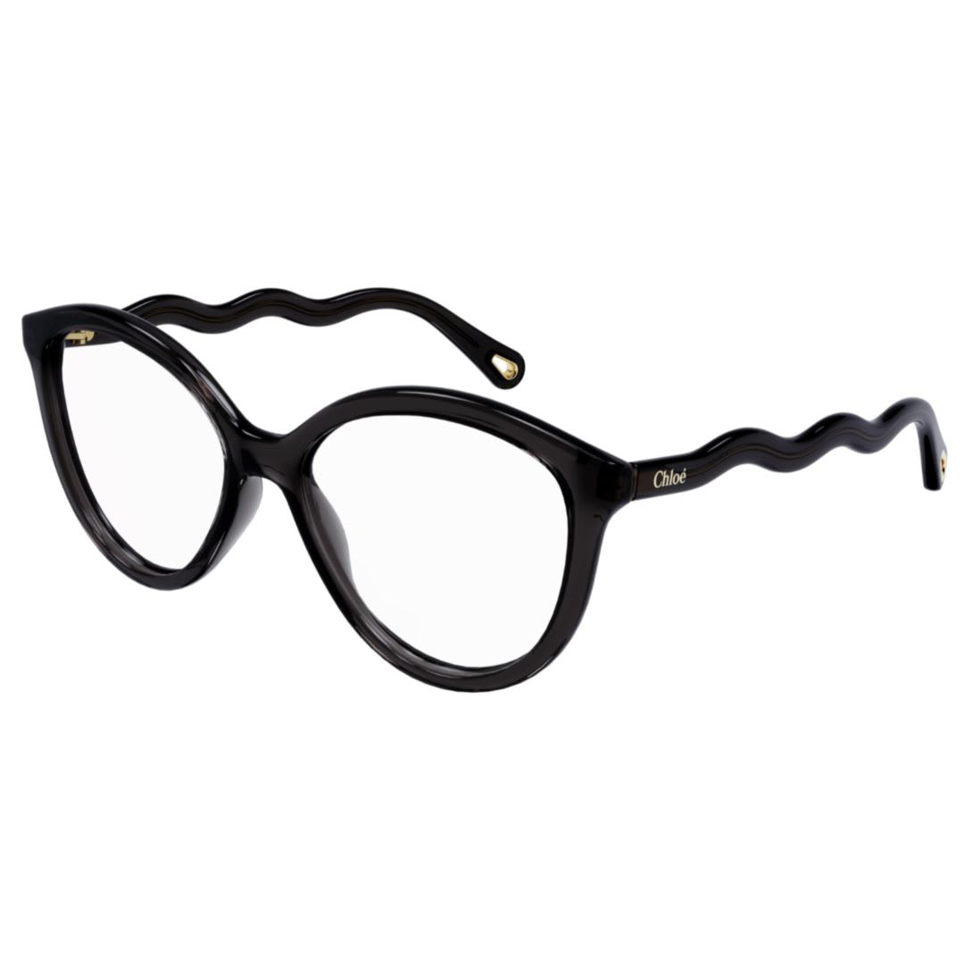 Chloé Ch0089o001 Grey Grey Transparent In Black
