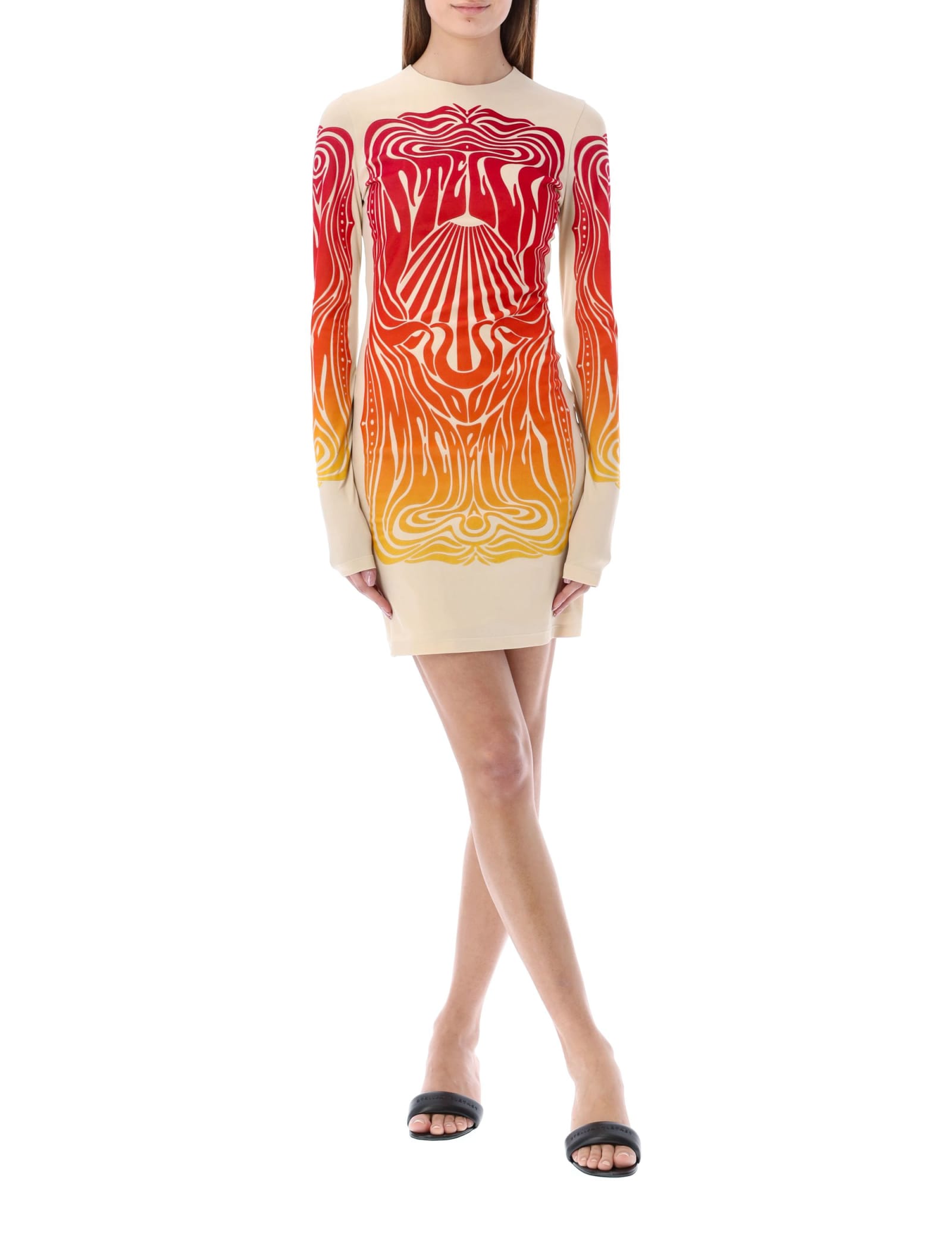 Stella McCartney Dress With Velvet Applique
