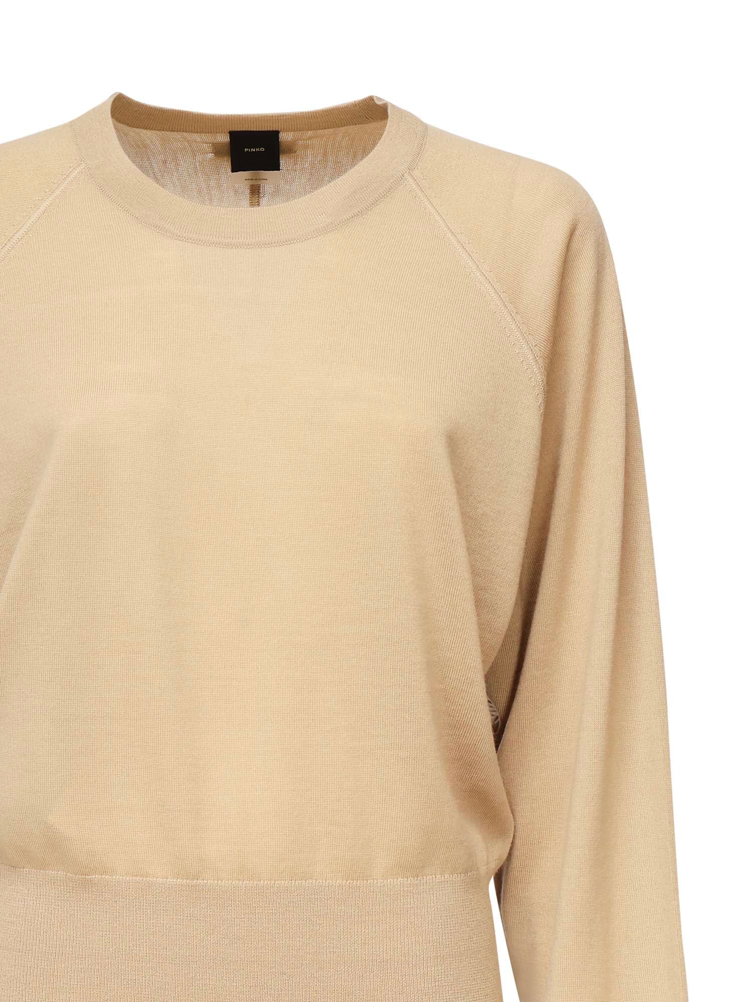 Pinko Lanzarote Sweater In Brown
