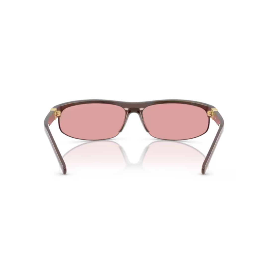 Miu Miu Occhiali Da Sole Miu Nocturne In Acetato Testa Di Moro Donna In 14y70j