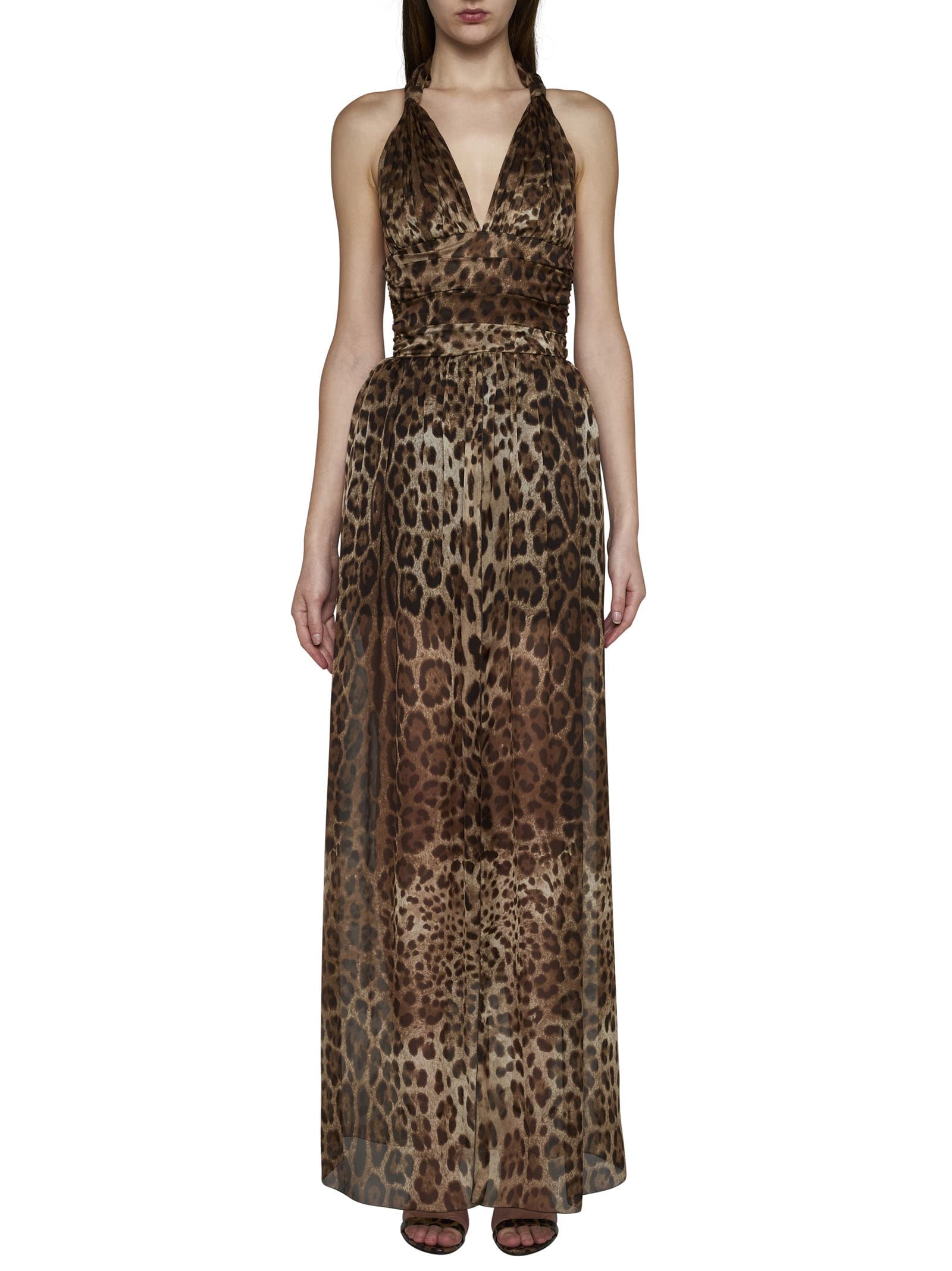 Shop Dolce & Gabbana Dress In Leo New