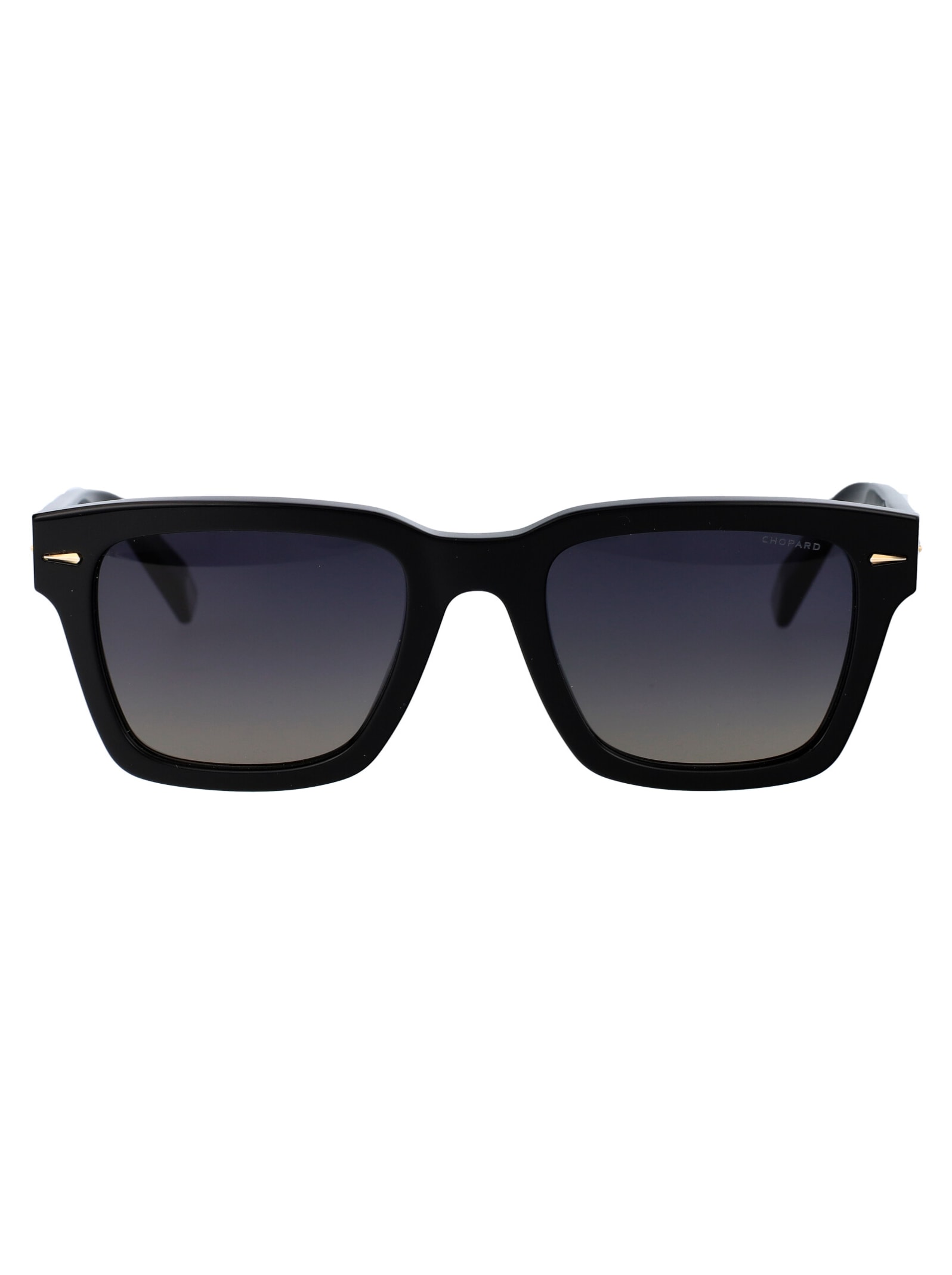 Sch337 Sunglasses