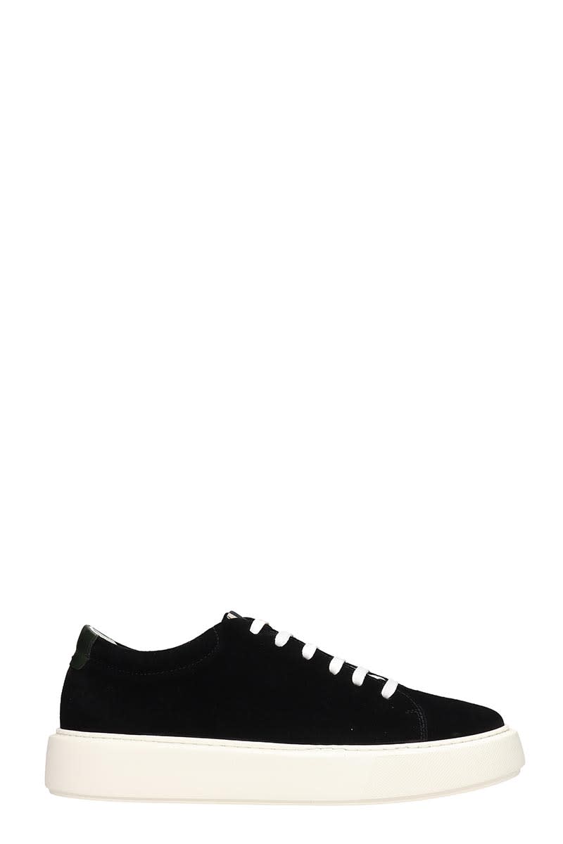 LOW BRAND SHELBY LOW SNEAKERS IN BLACK SUEDE,11307697