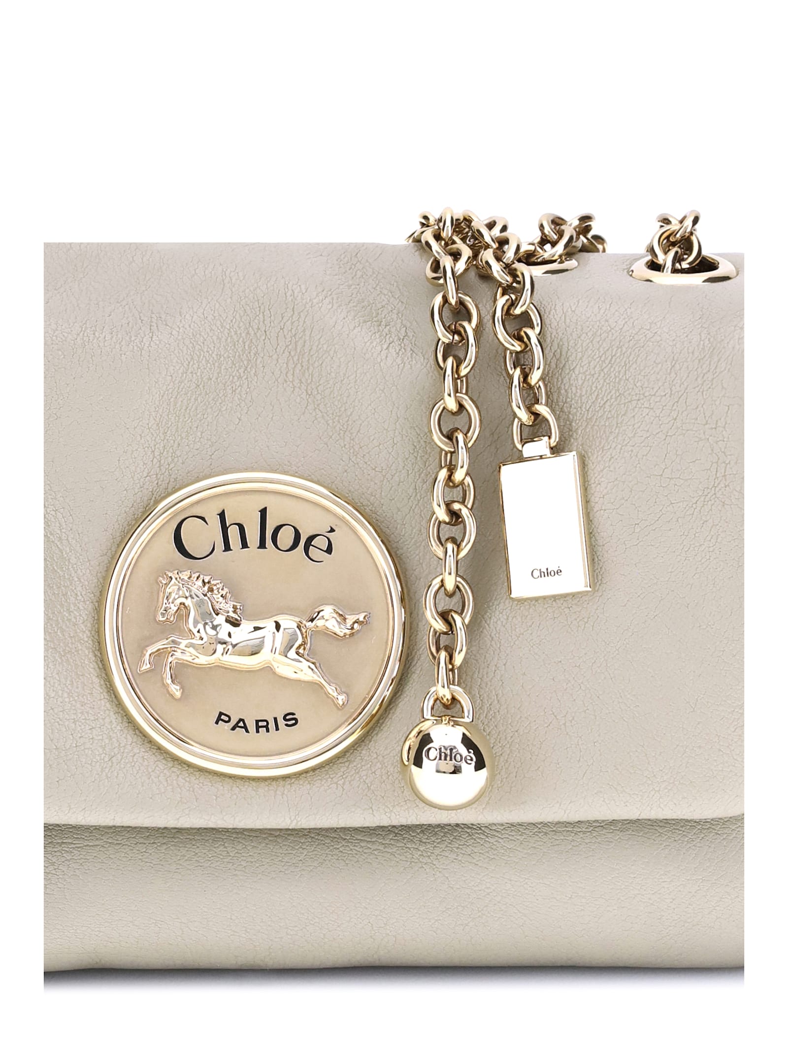 Chloé Leather Chain Strap Shoulder Bag In Brown