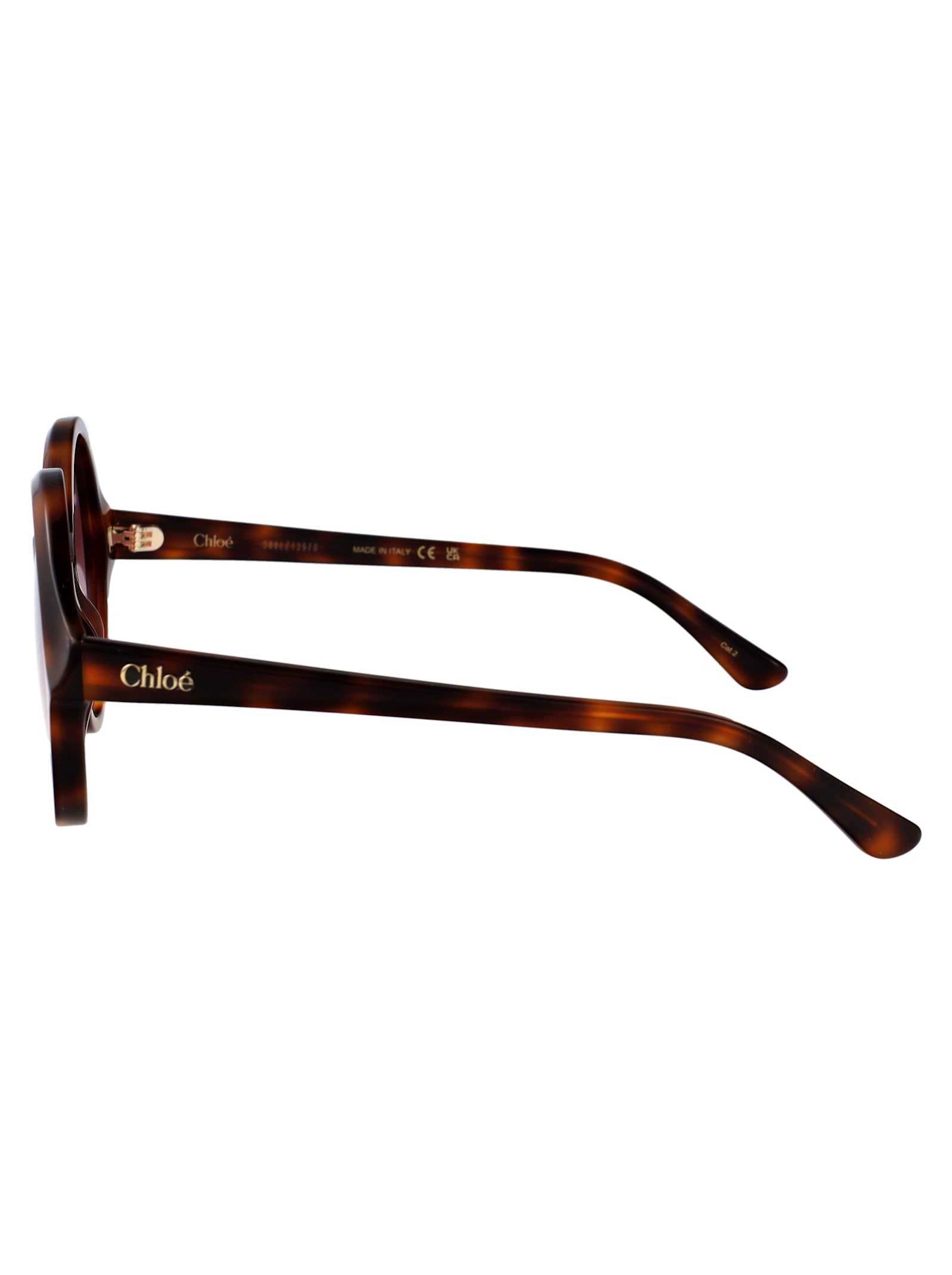 Chloé Ch0290s Sunglasses In Multi