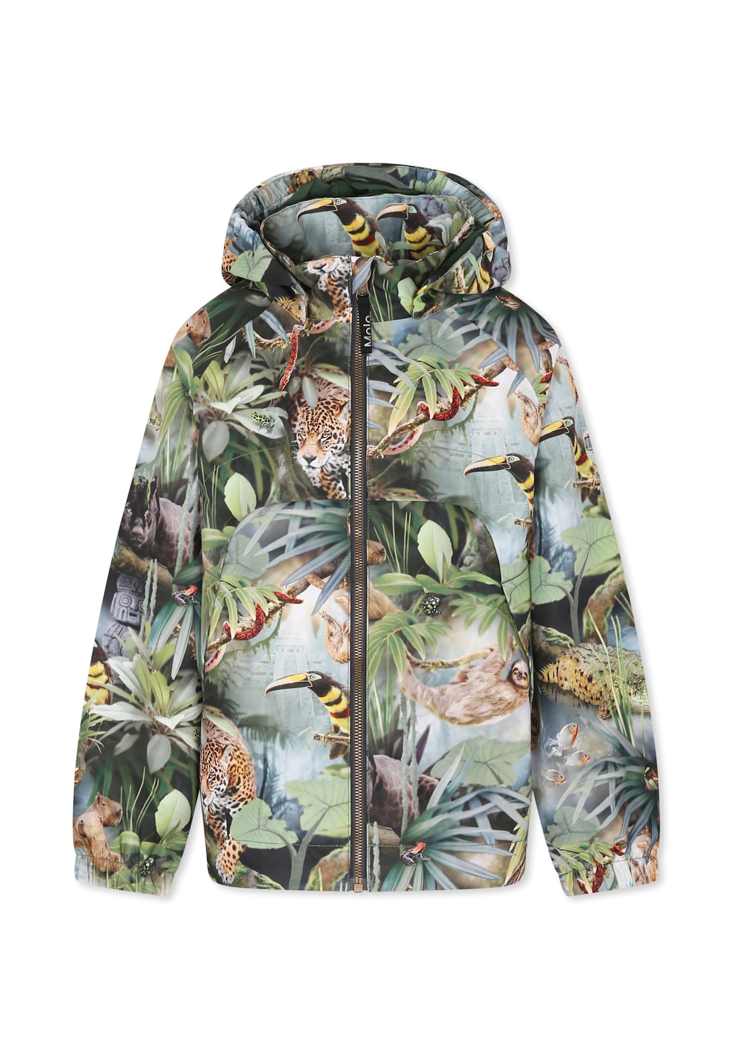 Molo Multicolor Windbreaker Jacket For Boy With Jungle Print In Multi