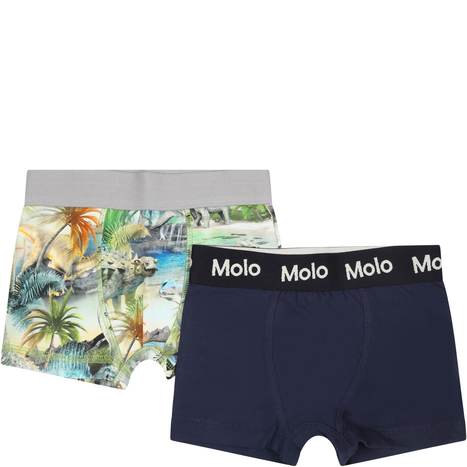 Molo Kids' Multicolor Set For Boy With Dinosaur Print