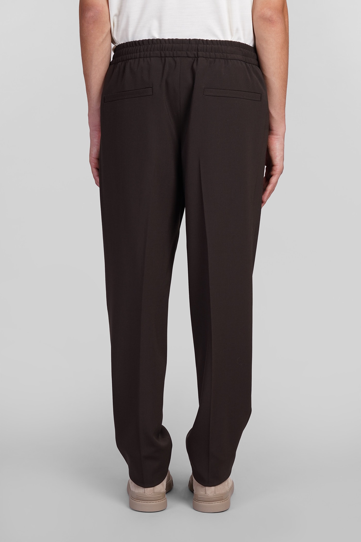 Shop Zegna Pants In Brown Polyester