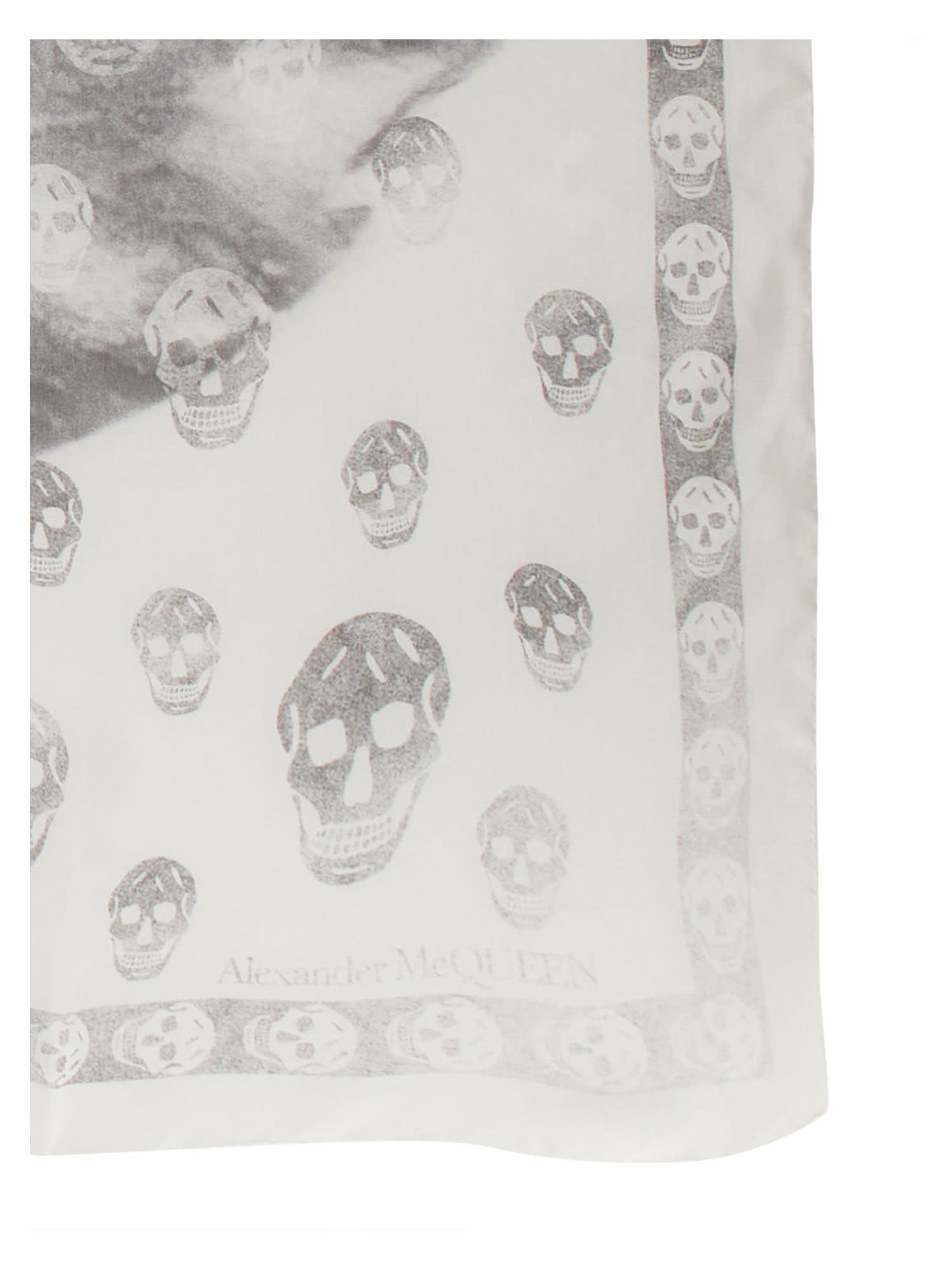 Shop Alexander Mcqueen Skull Orchid Scarf In Ivory