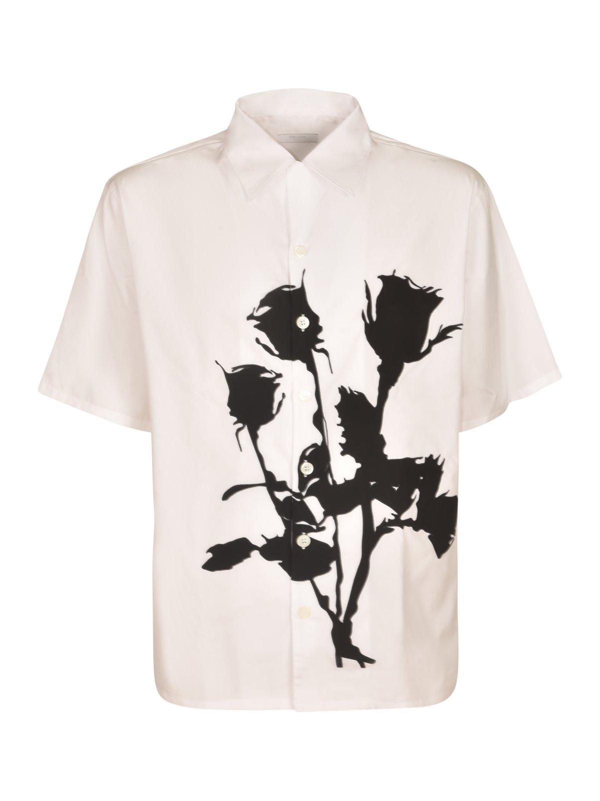 Prada Rose-appliqué Short-sleeved Shirt In White