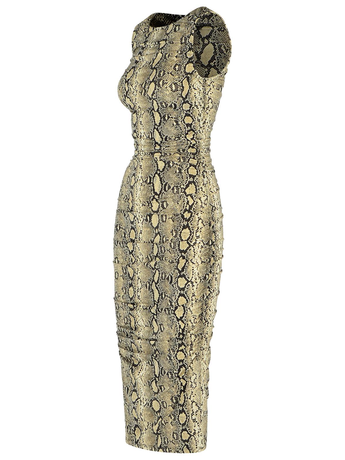 Michael Michael Kors Snake Print Viscose Blend Dress In Burgundy