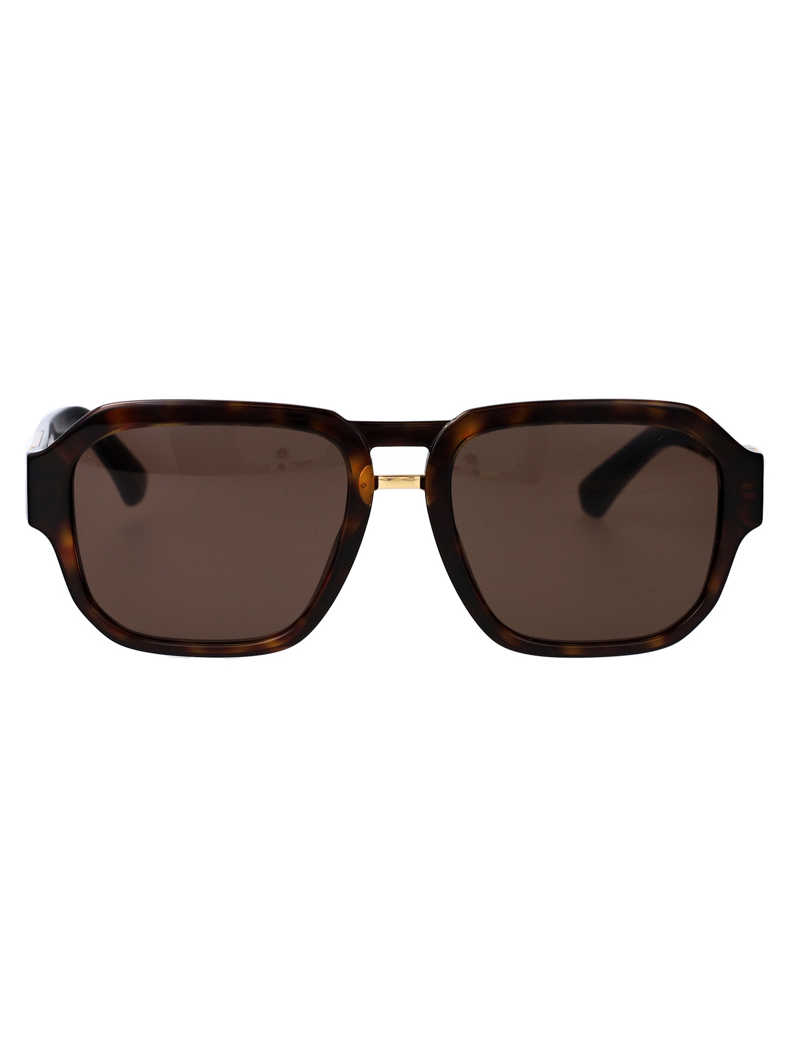 0dg4464 Sunglasses