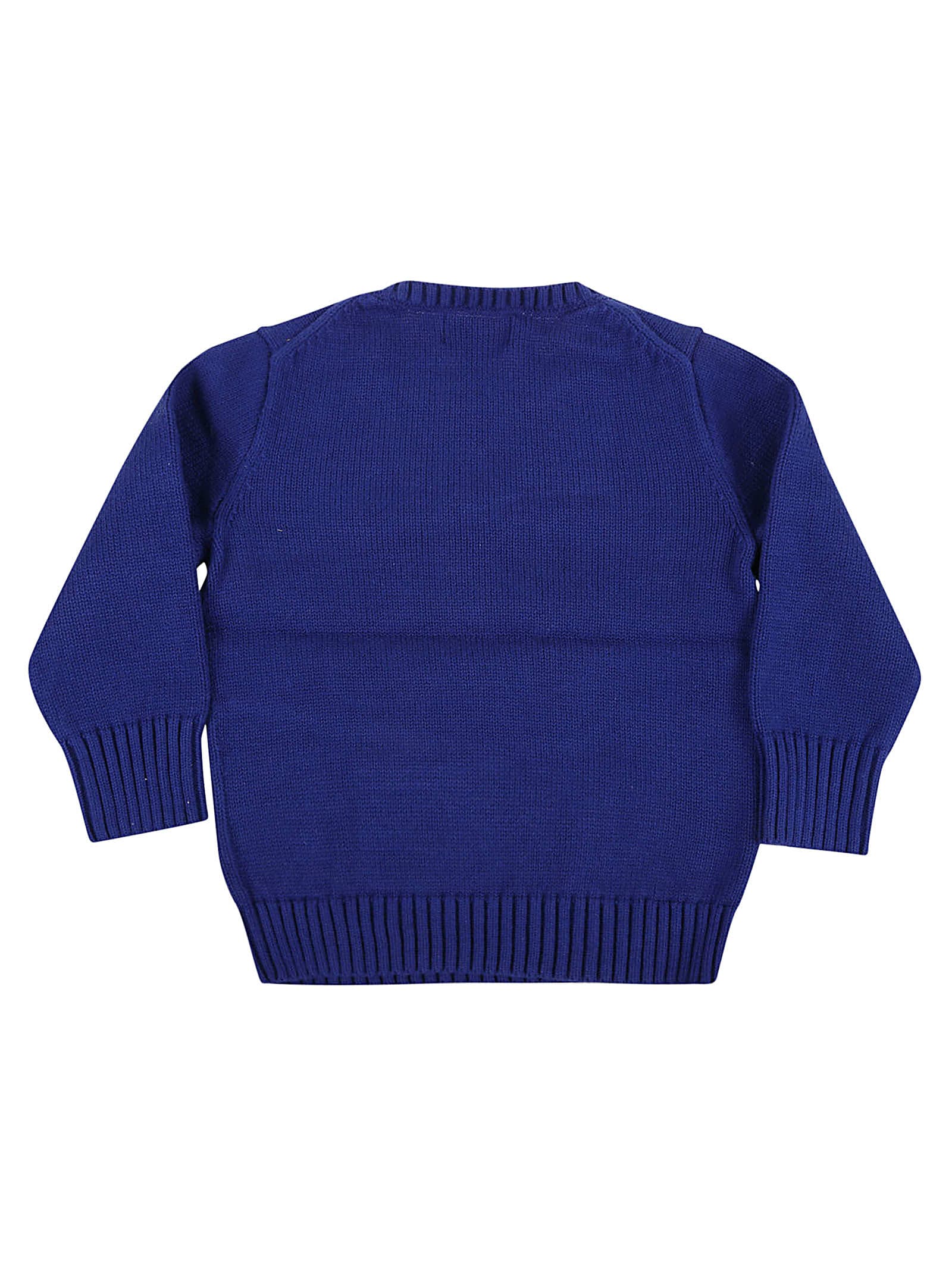 Shop Ralph Lauren Lscnholdog-sweater-pullover In Sporting Royal