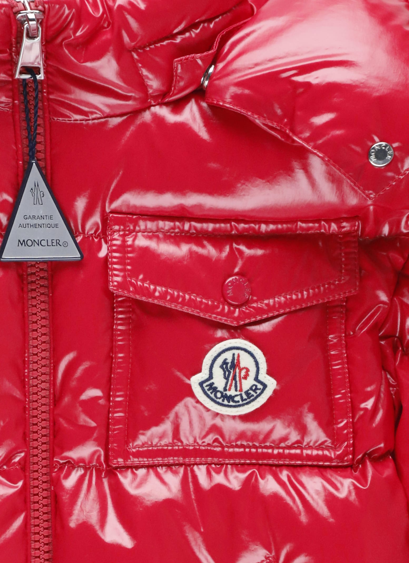 Moncler Andro Down Jacket In Multi